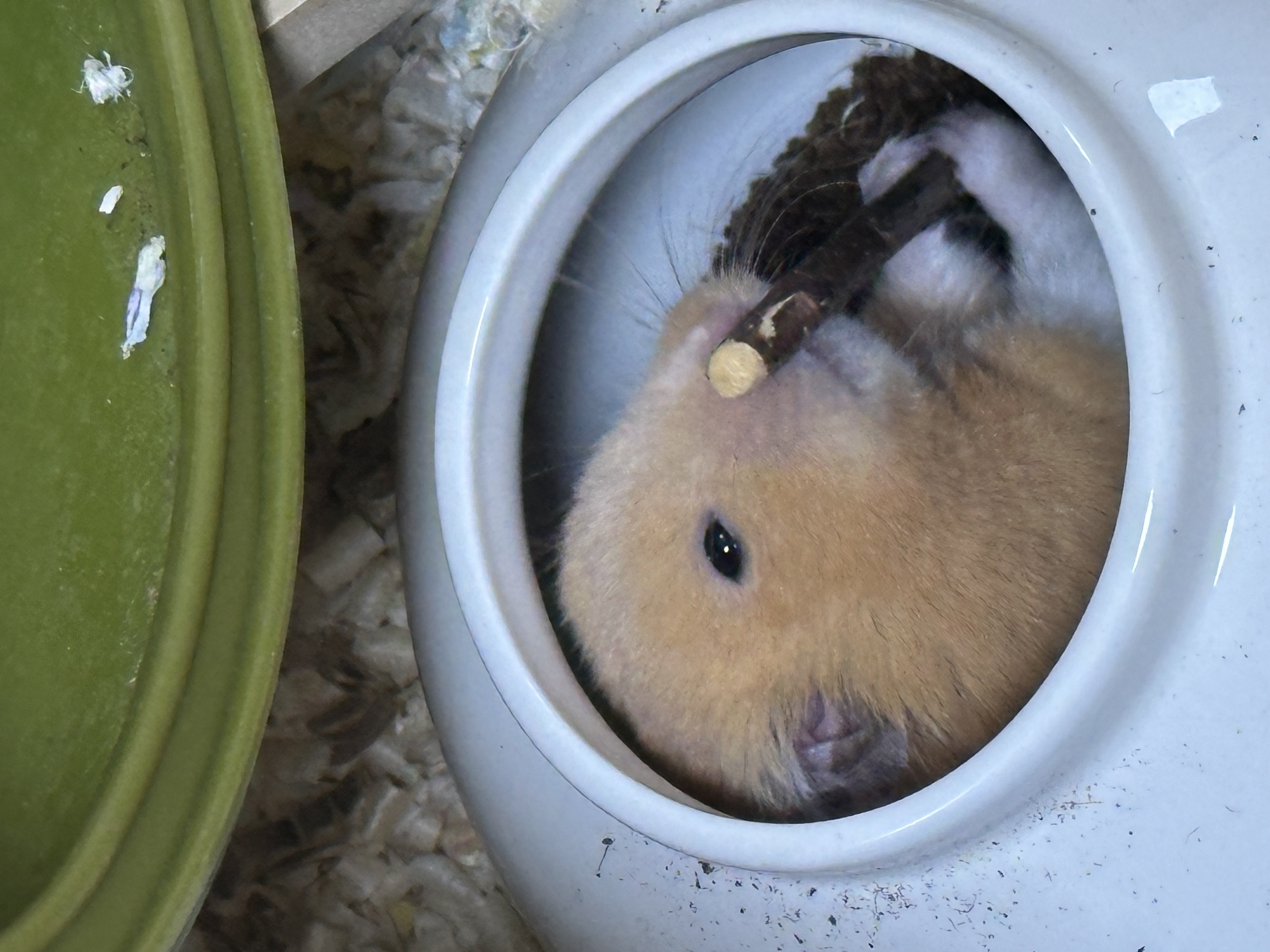 온스터 한달차!!!