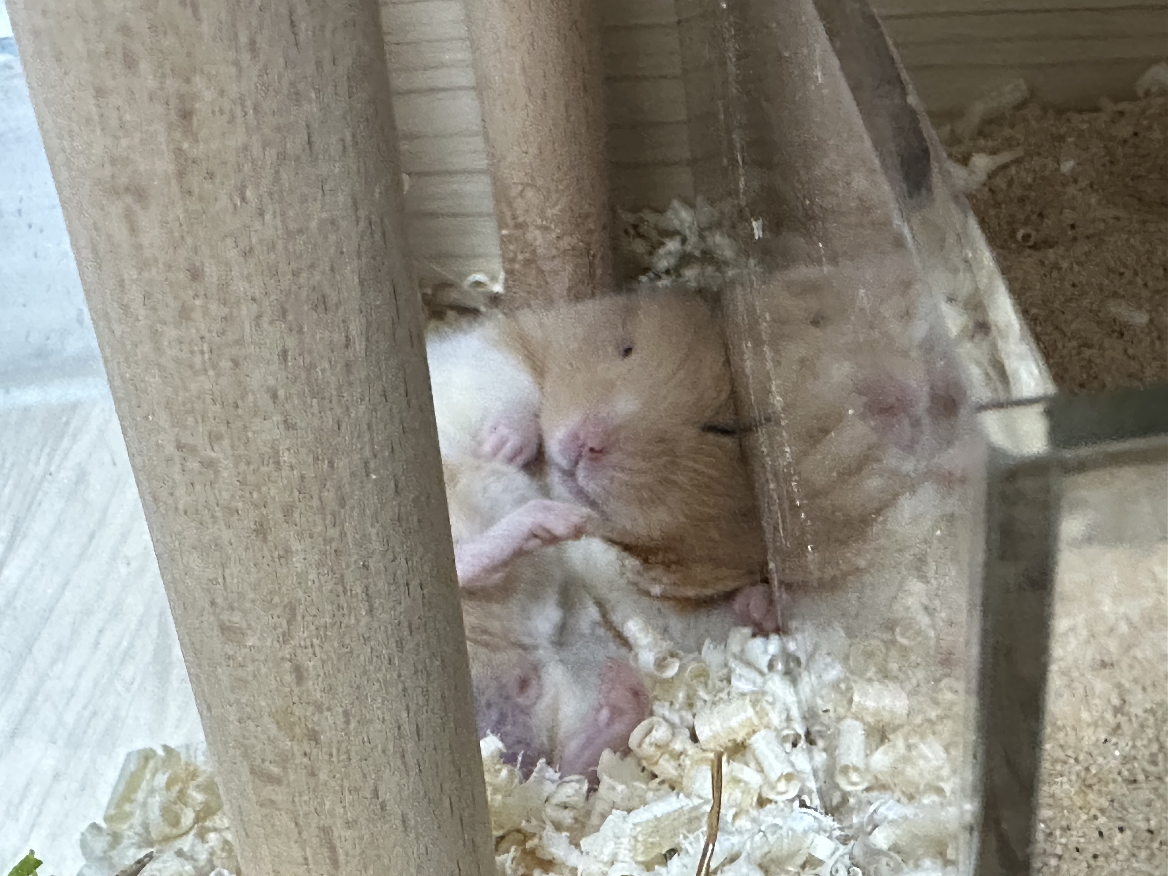 온스터 한달차!!!