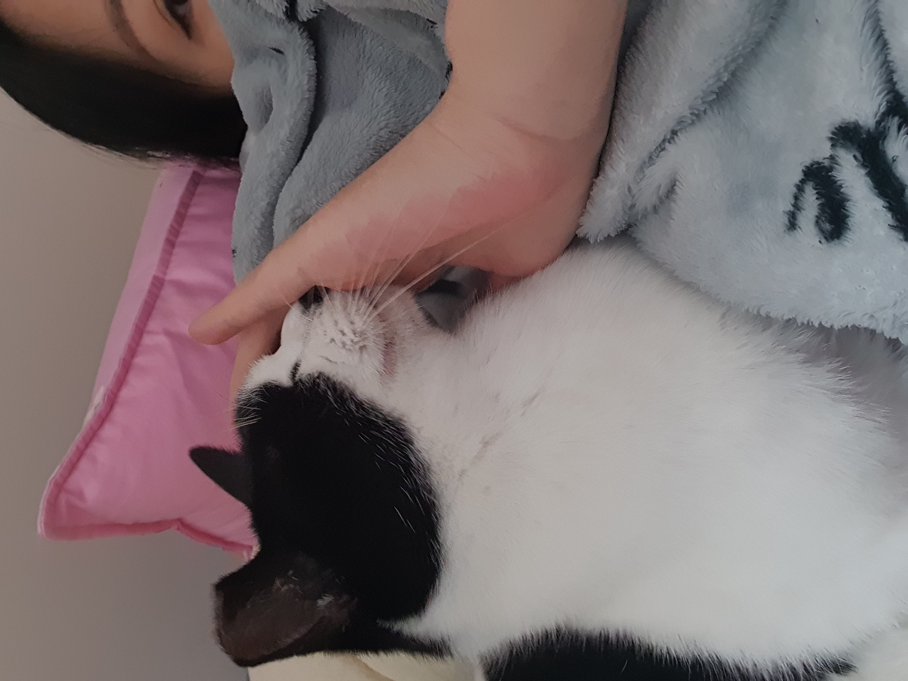 바담이 후기