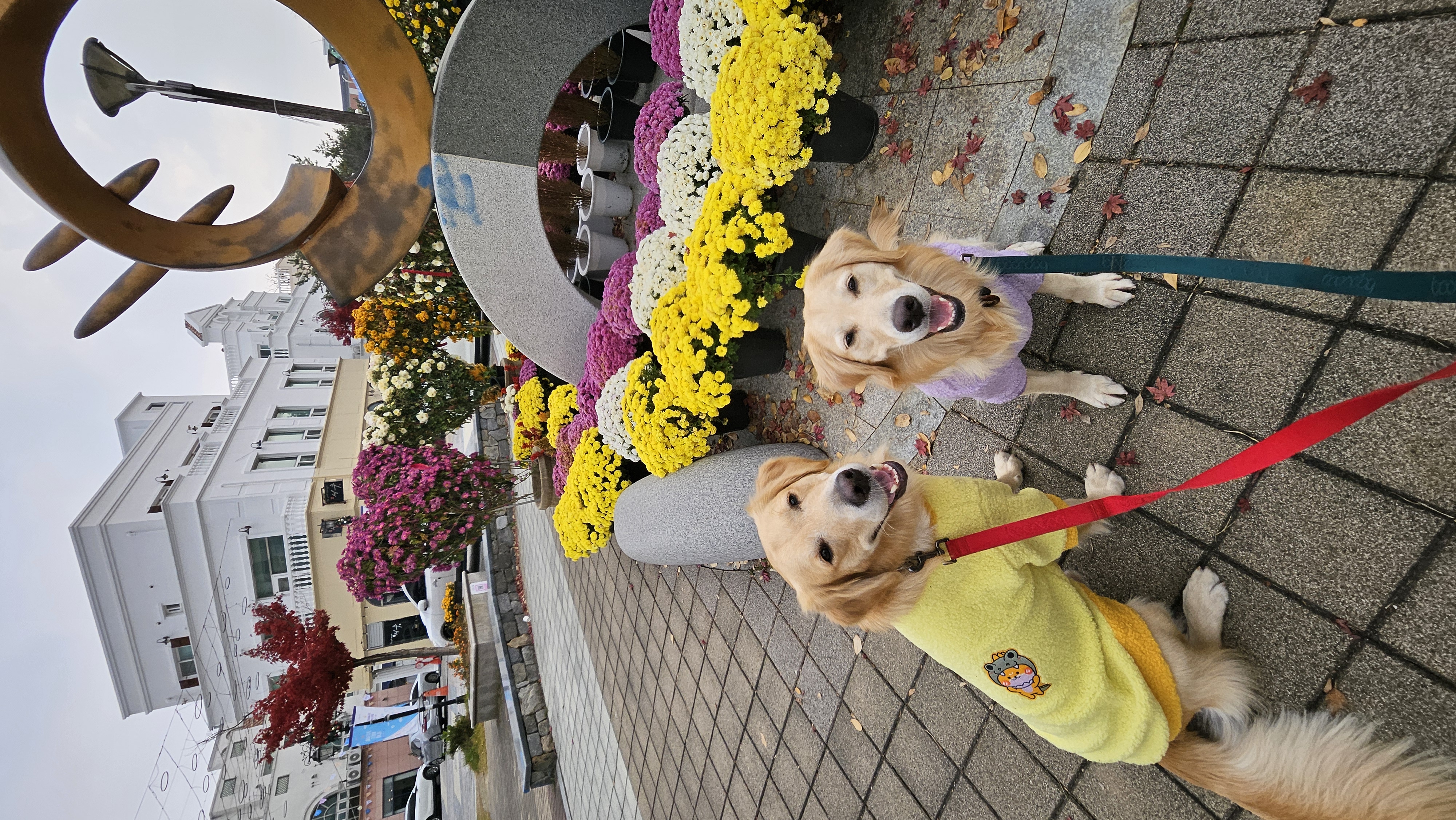 하늘 구름(구 찰리 마일로)의 벌써 1년^^