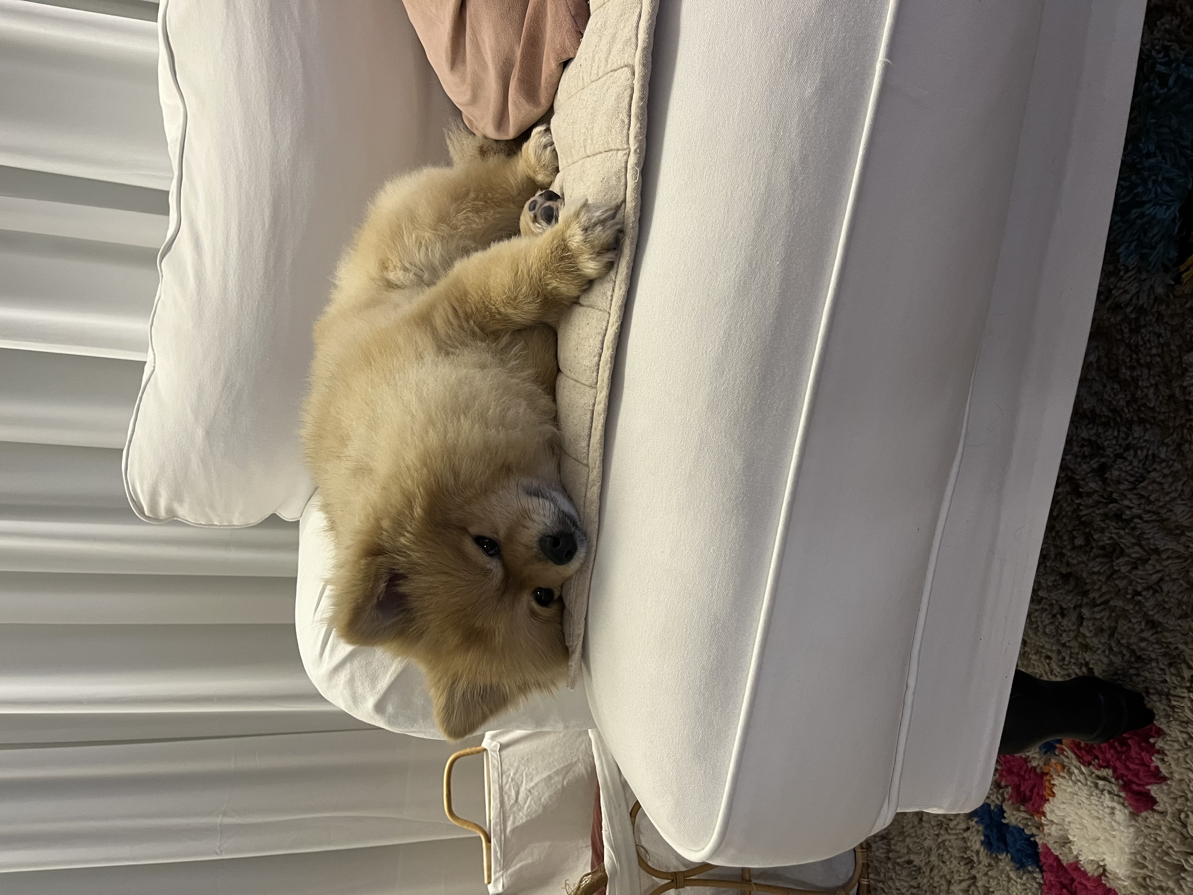 곤지암 그일이~ 현 하트에요❤️
