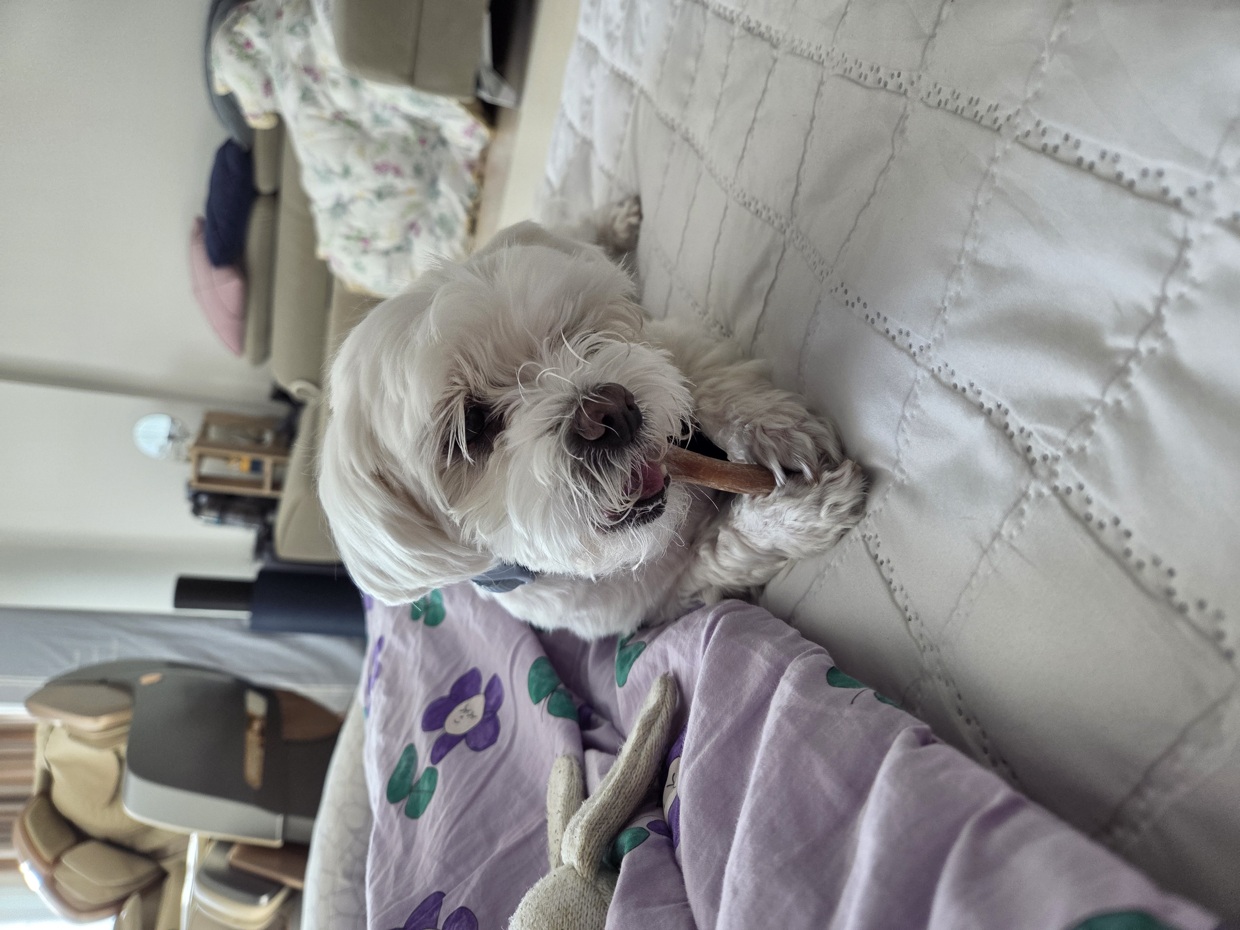 티코예요^^