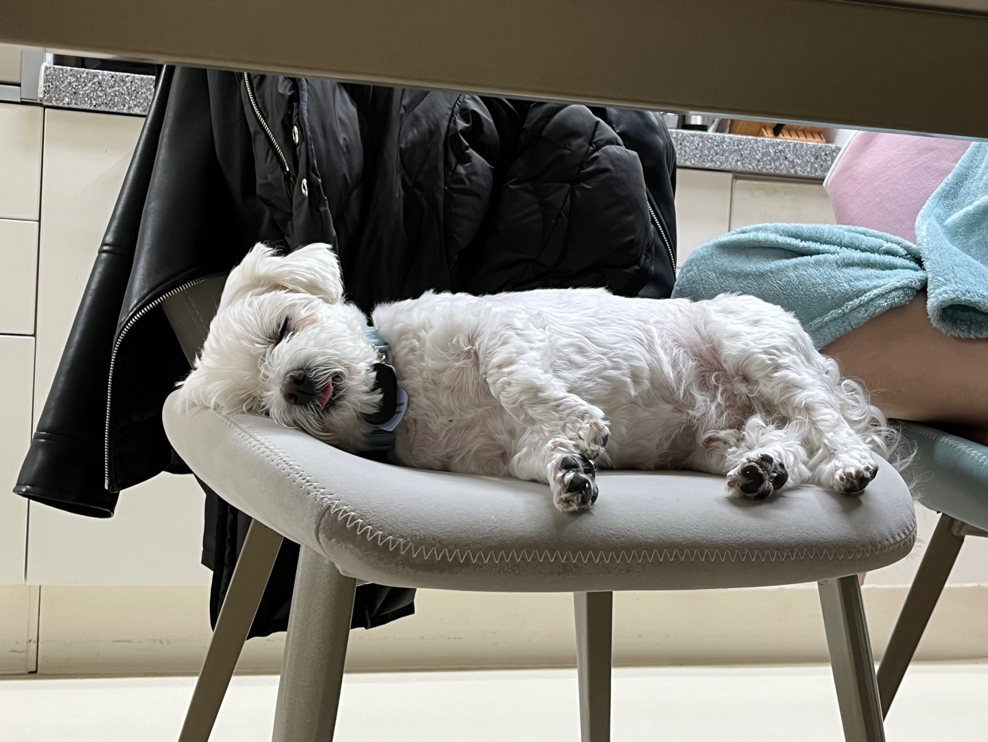 티코예요^^