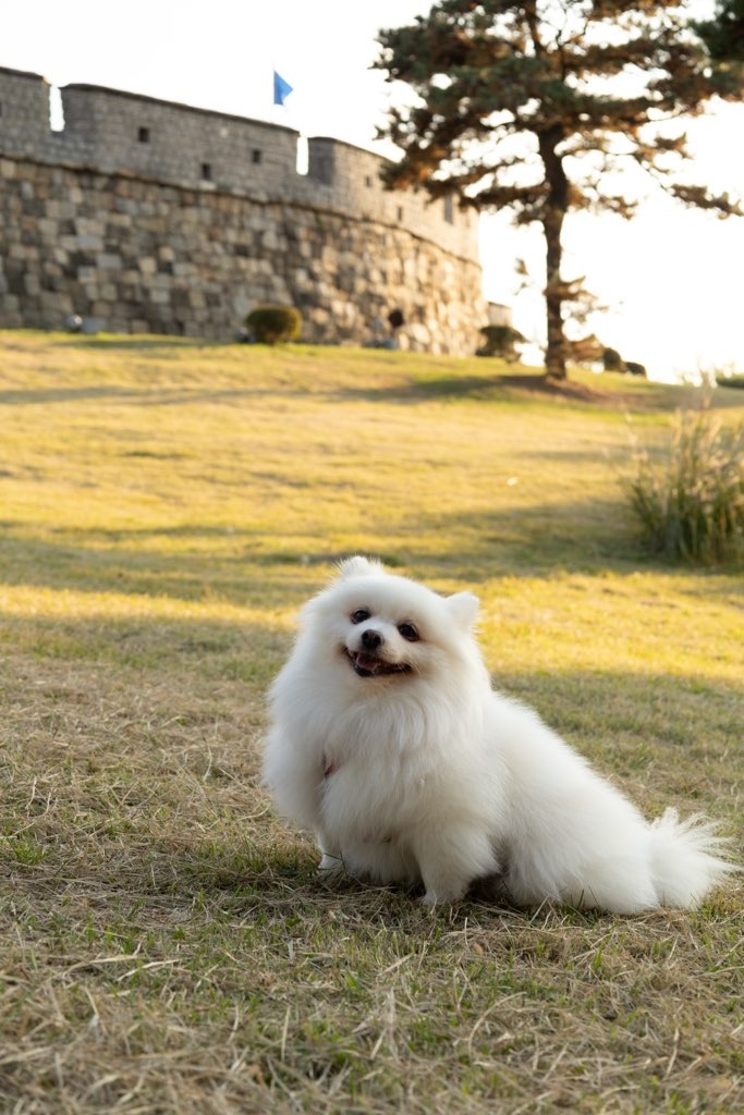 (곤지암 꽃별이 )별 인사드려요 ~