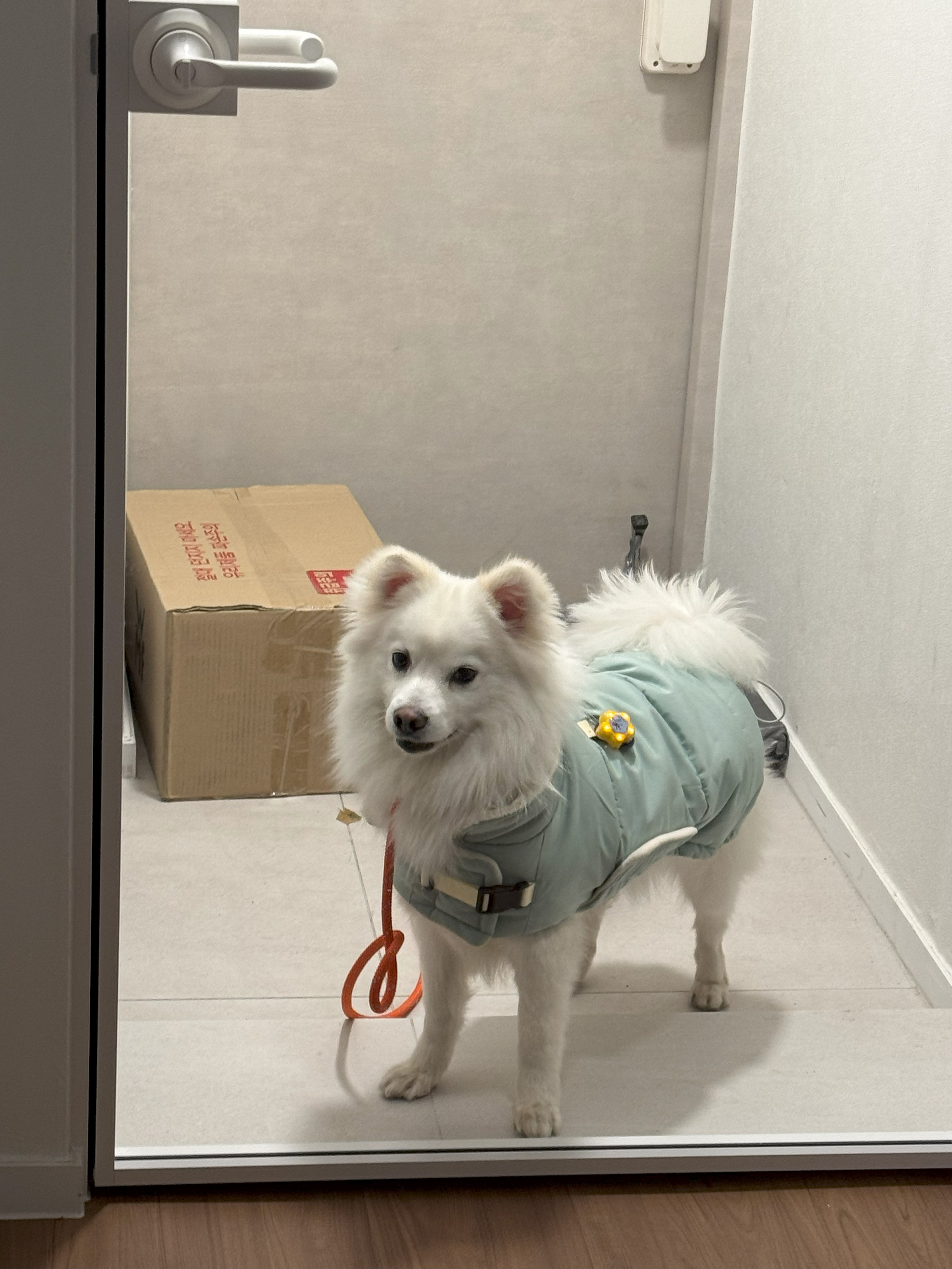 코비(유호) 한달 차 후기