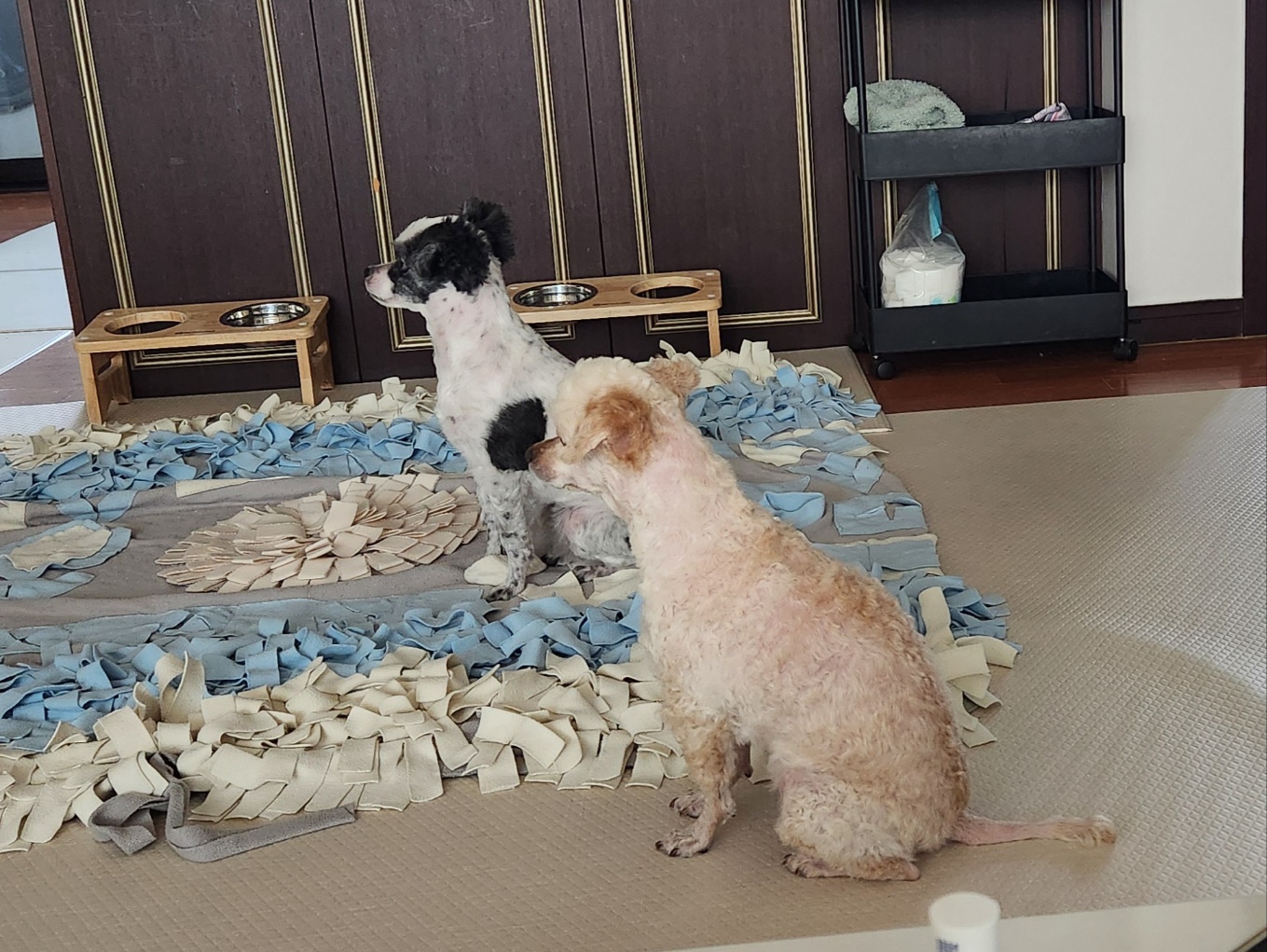 포유의 ❤️💕😍