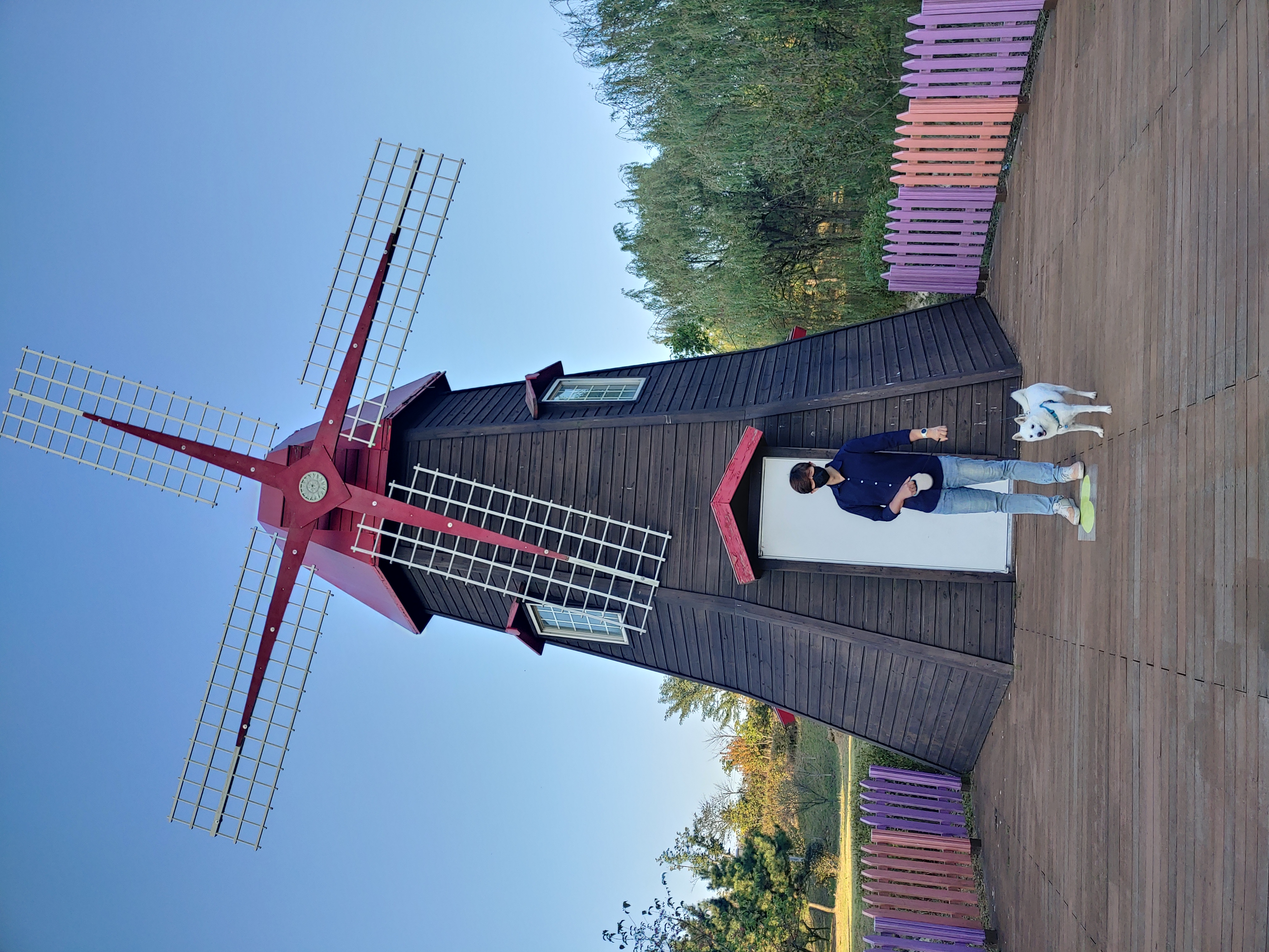 하늘이 입양 후기 4년차(옛날이름 엘리나)