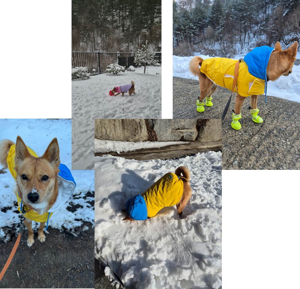 호두(구.오트) 2년 이야기