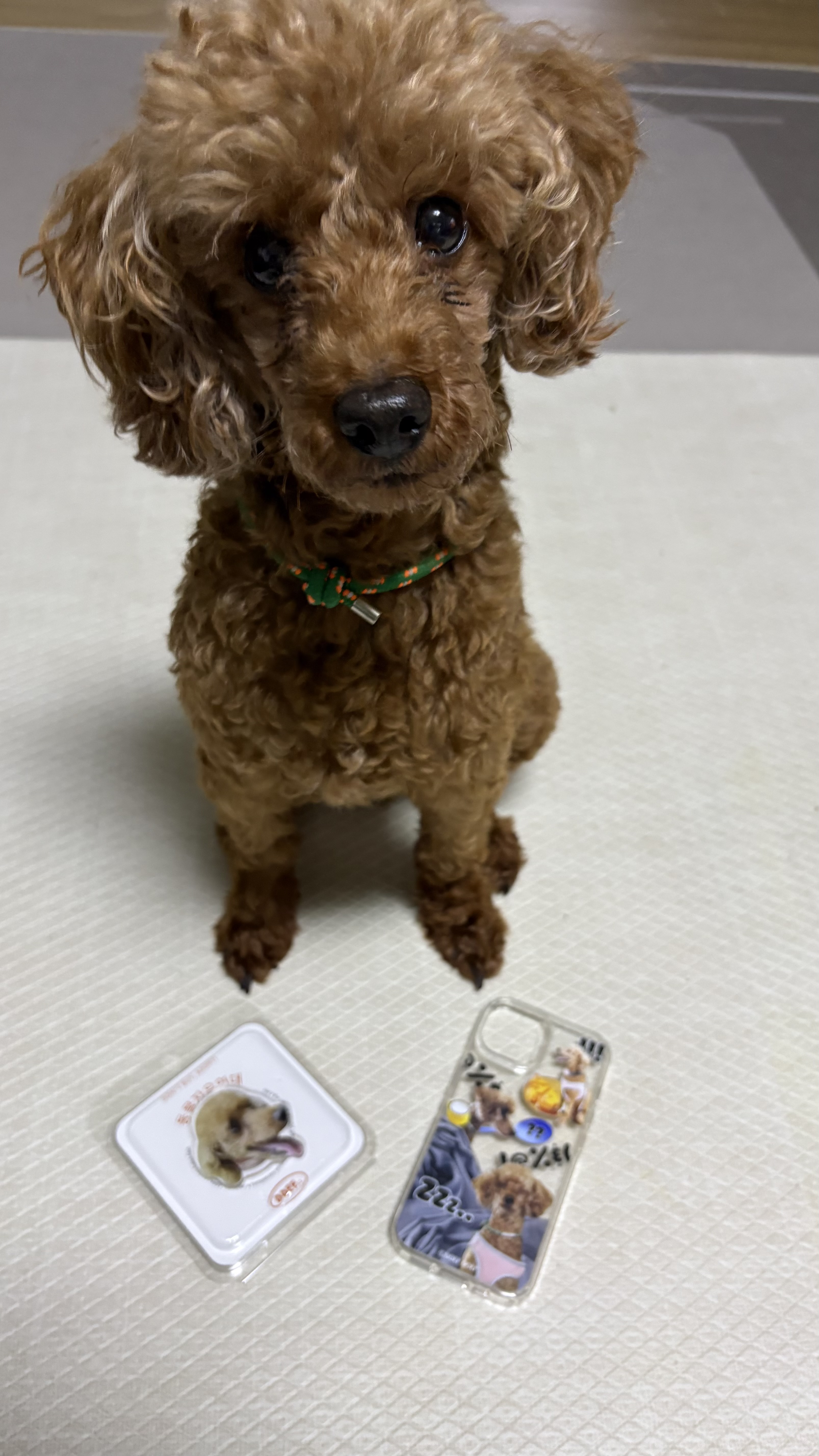 보사의 첫 가족여행~~