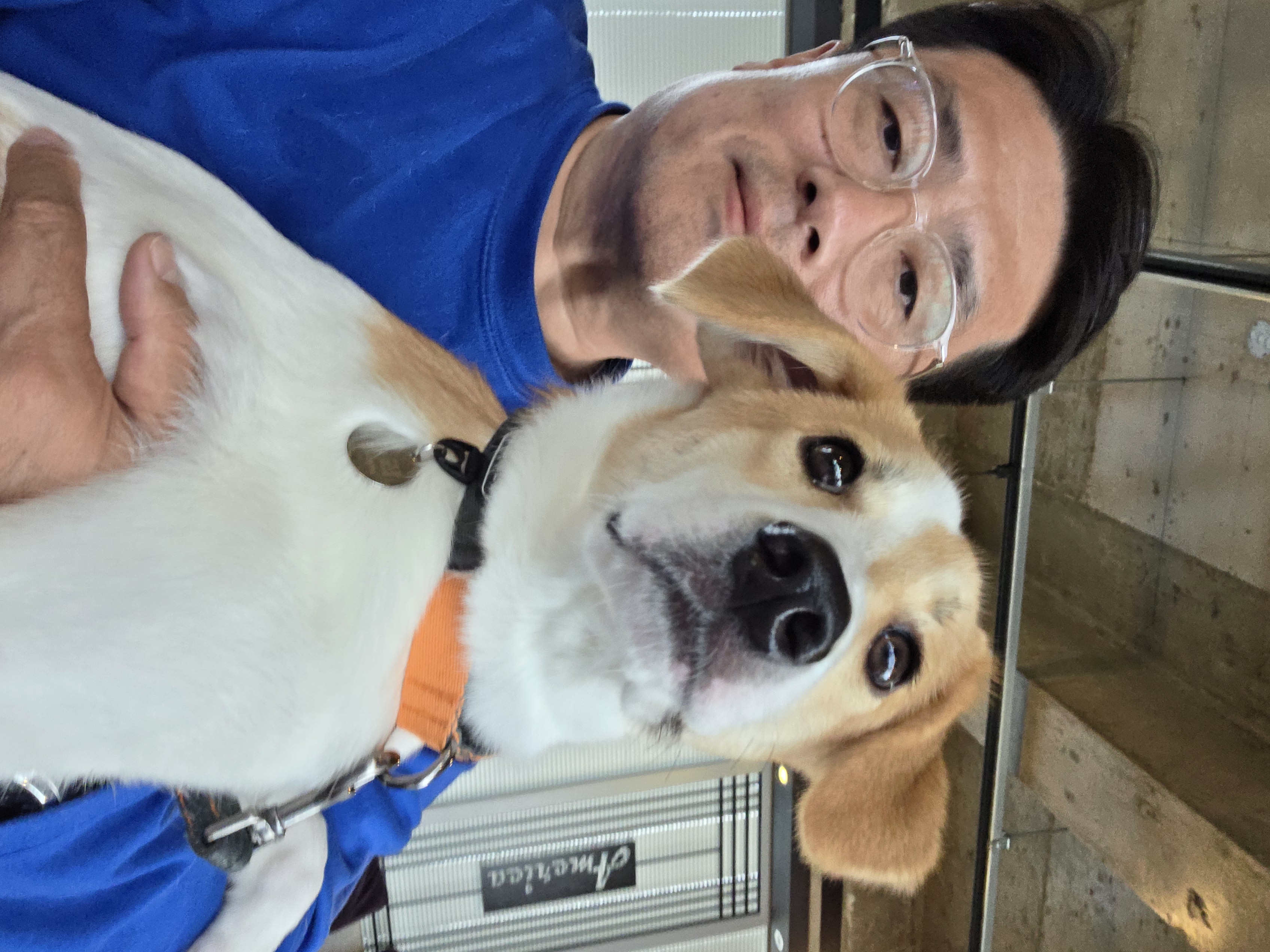 모디 3개월 추석이야기