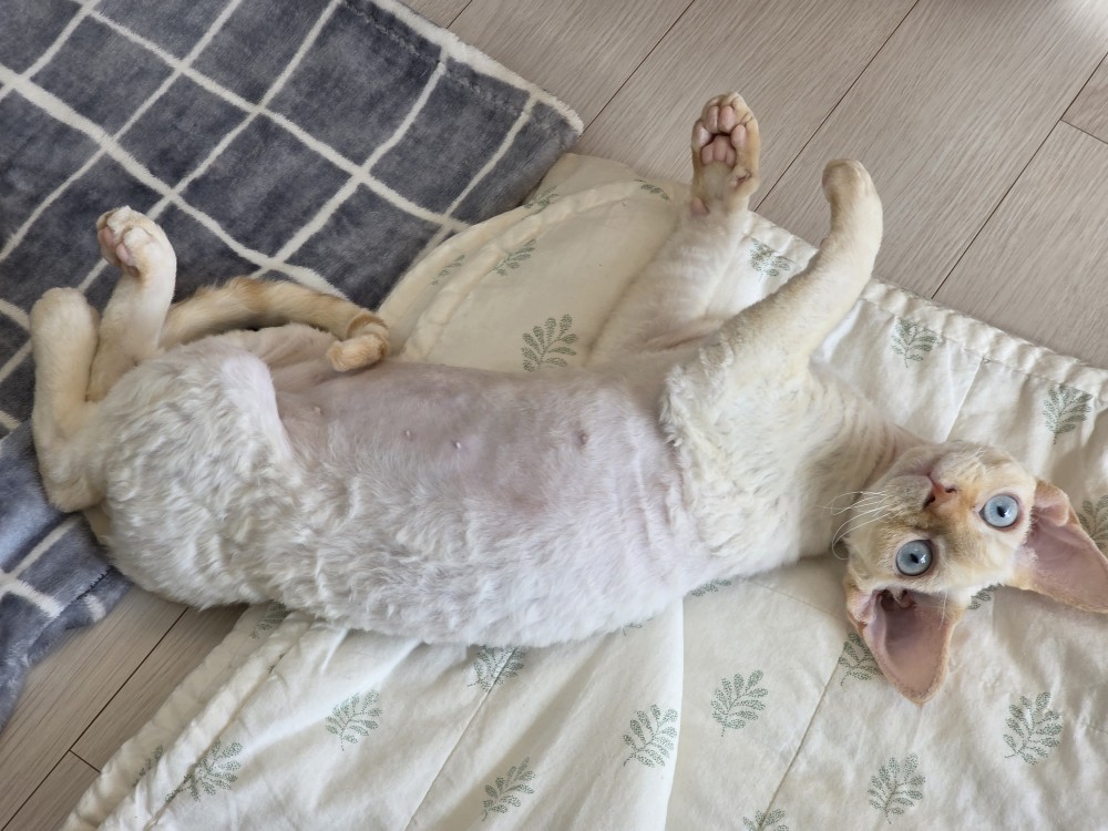 단하 3개월 간의 기록