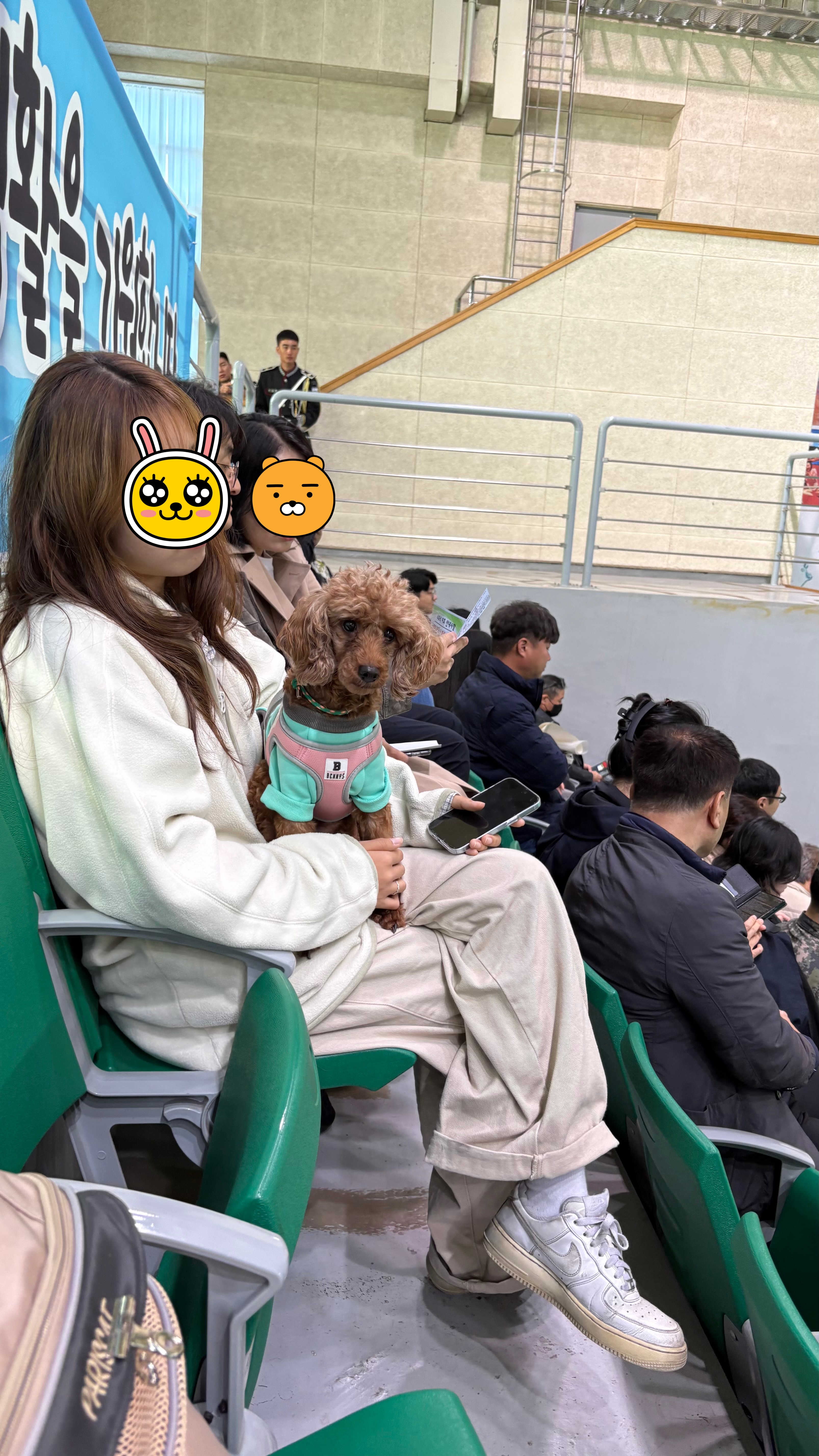 보사의 3개월 후기 