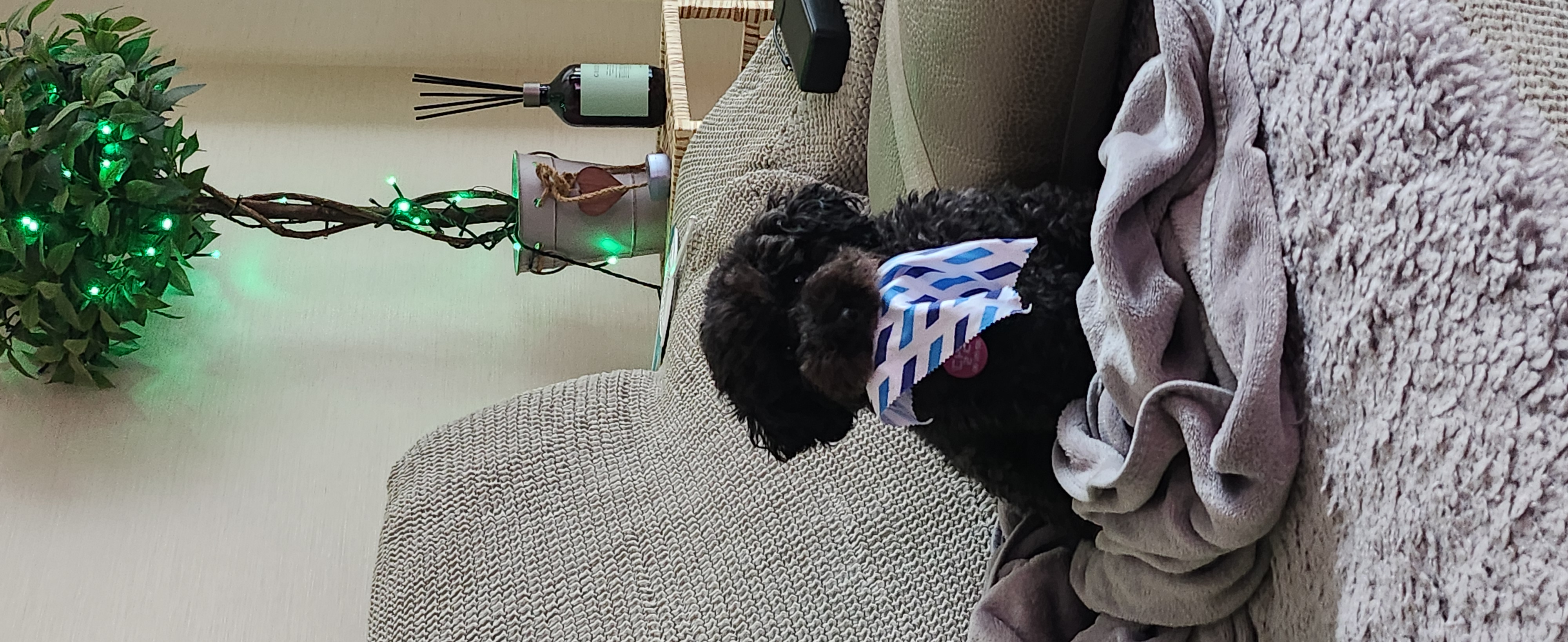 달래씨(까비)~ 행복하자