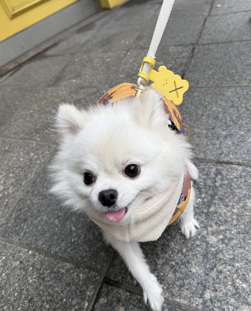 동자연 슈크(현 슈리) 가족된지 1년이 지났습니다