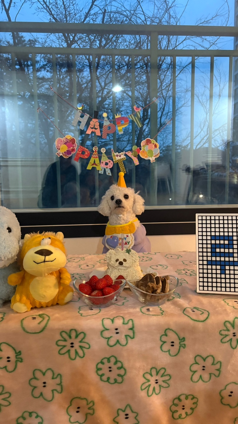 루시(양곤)이의 행복한 400일 일기