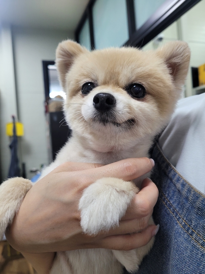 호강이(밤톨이) 잘지내고 있어요~