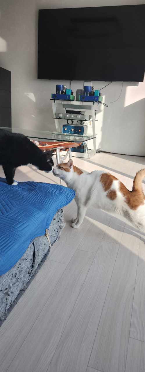 코점이 소식 올려요~