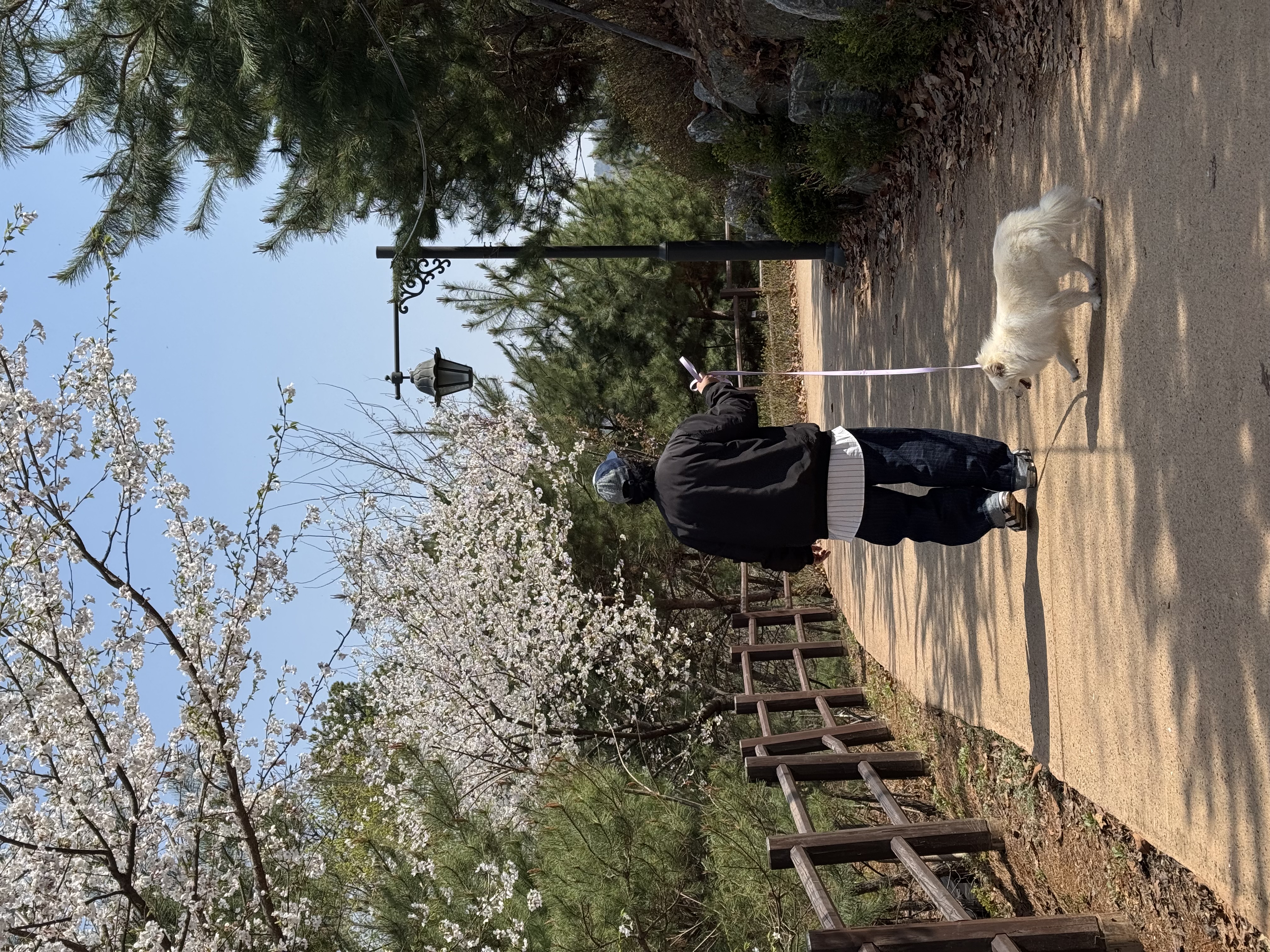 코인이 입양 1개월