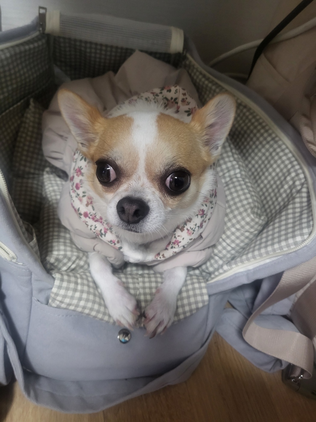 이랑이예여:) 
