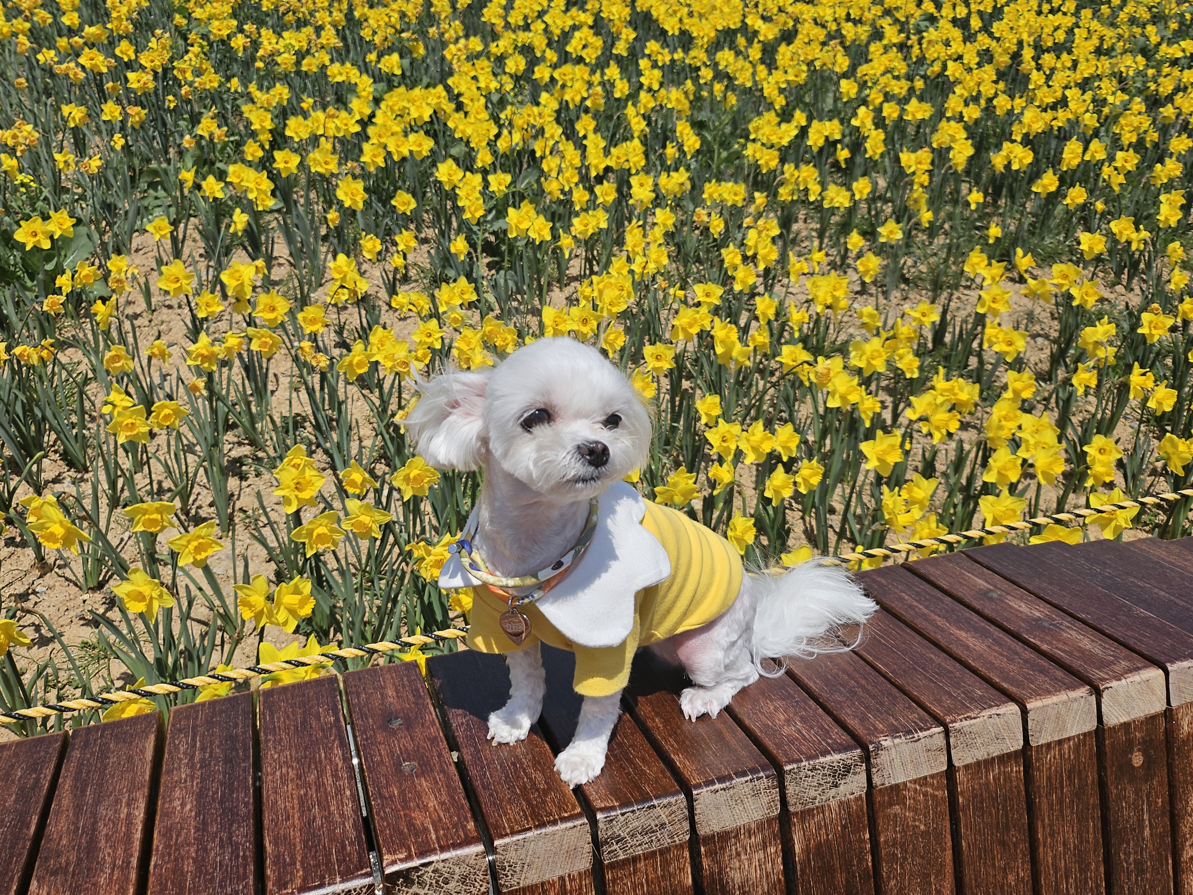 마리, 우리와 1년♡