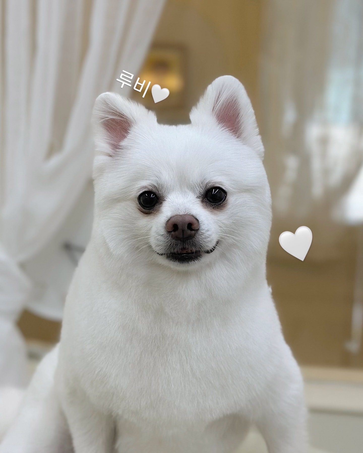 루비 한달이 넘어가네요~