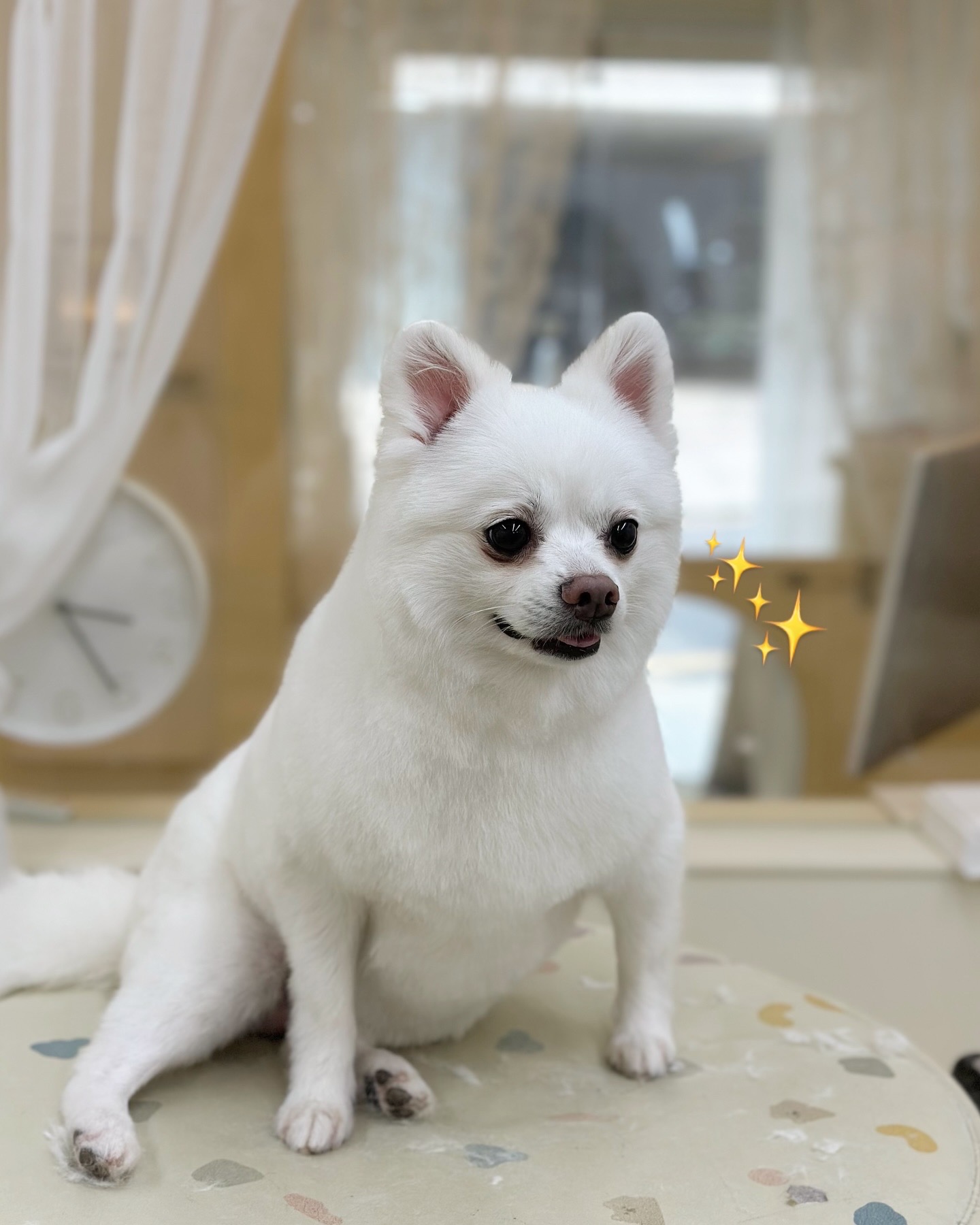 루비 한달이 넘어가네요~