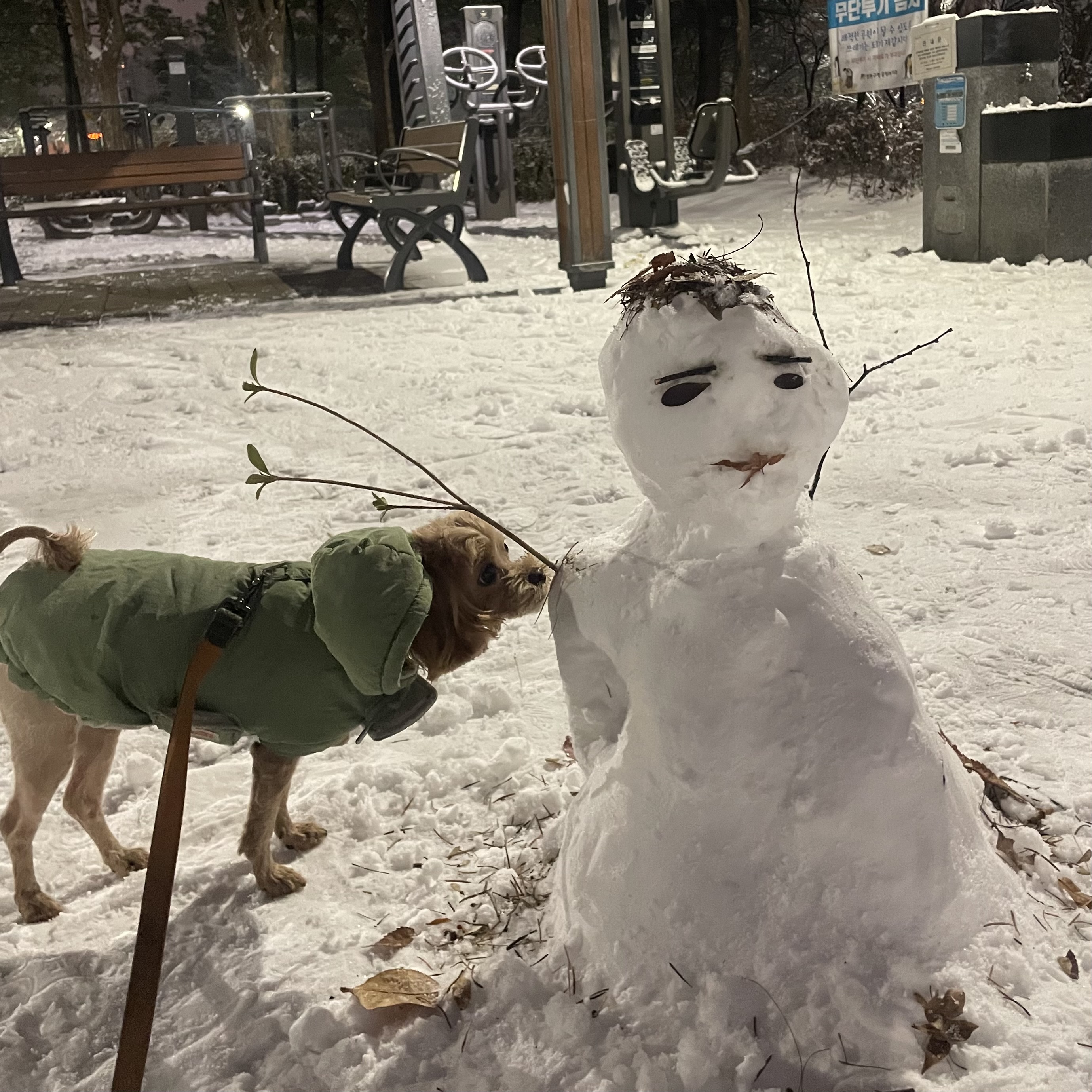 온느(봉봉이) 입양 2년 후기입니다:)