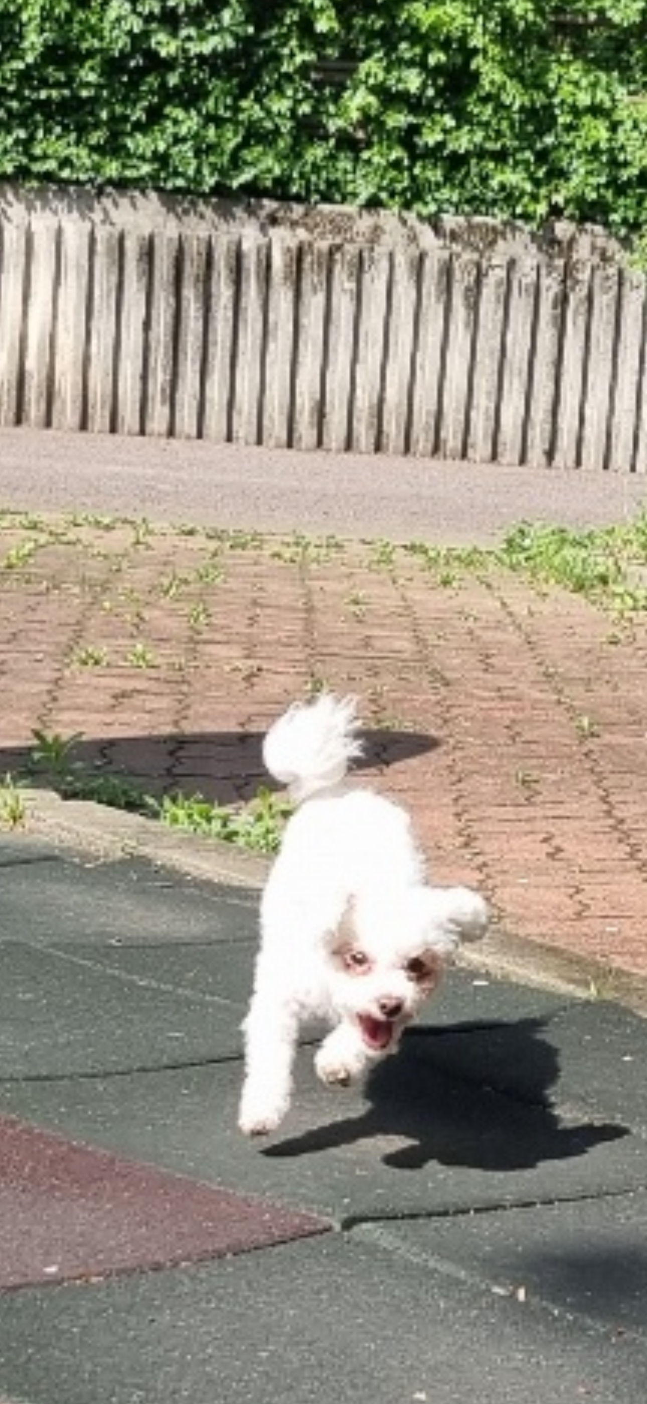 캔디 (마요)예요!!!