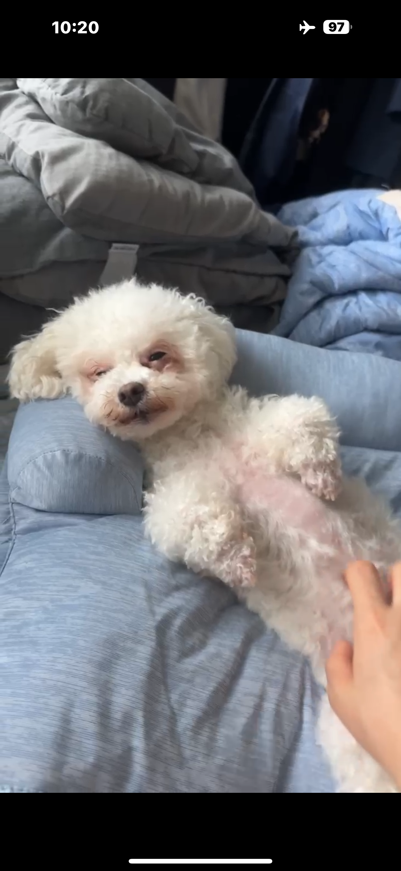 캔디 (마요)예요!!!
