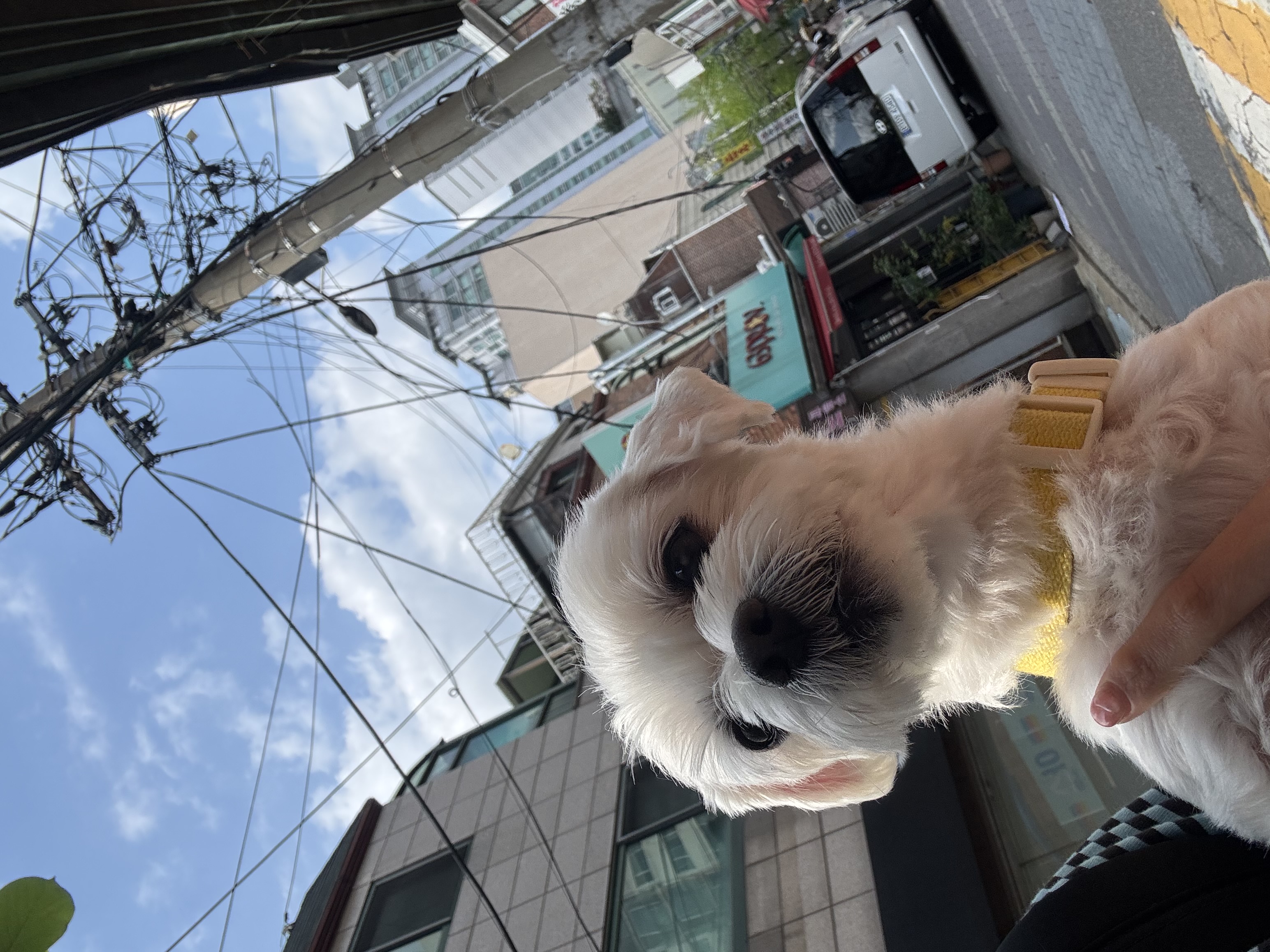 예쁜 삼숙이 근황💛🫶🏻