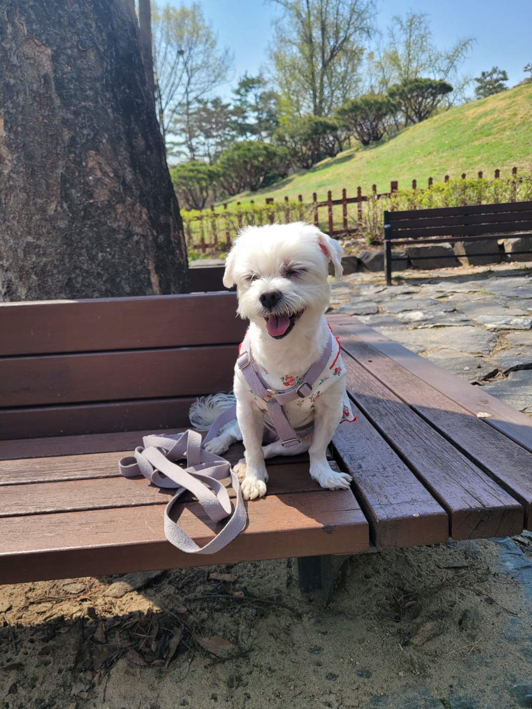 예쁜 삼숙이 근황💛🫶🏻