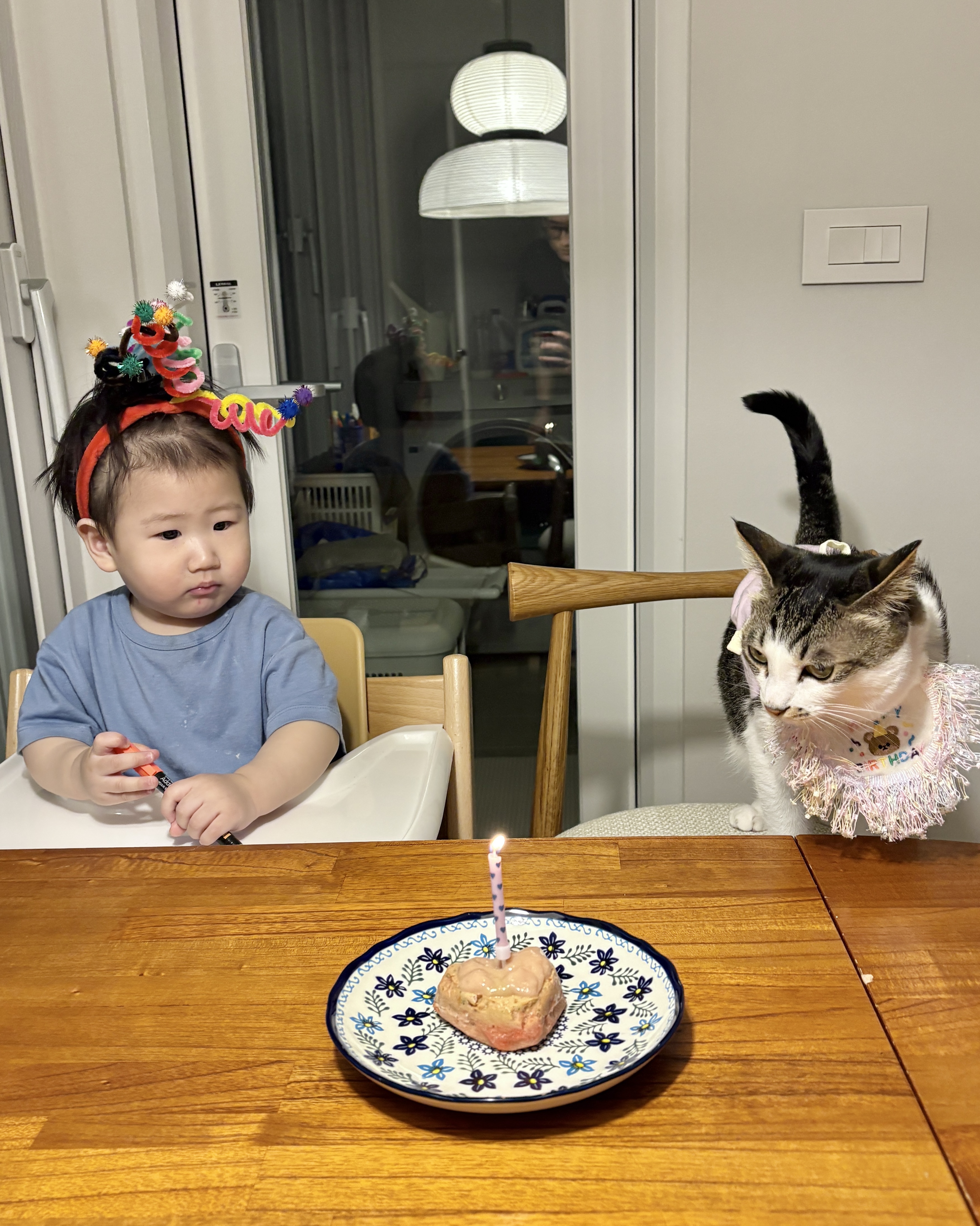 꼬무의 두 번째 생일