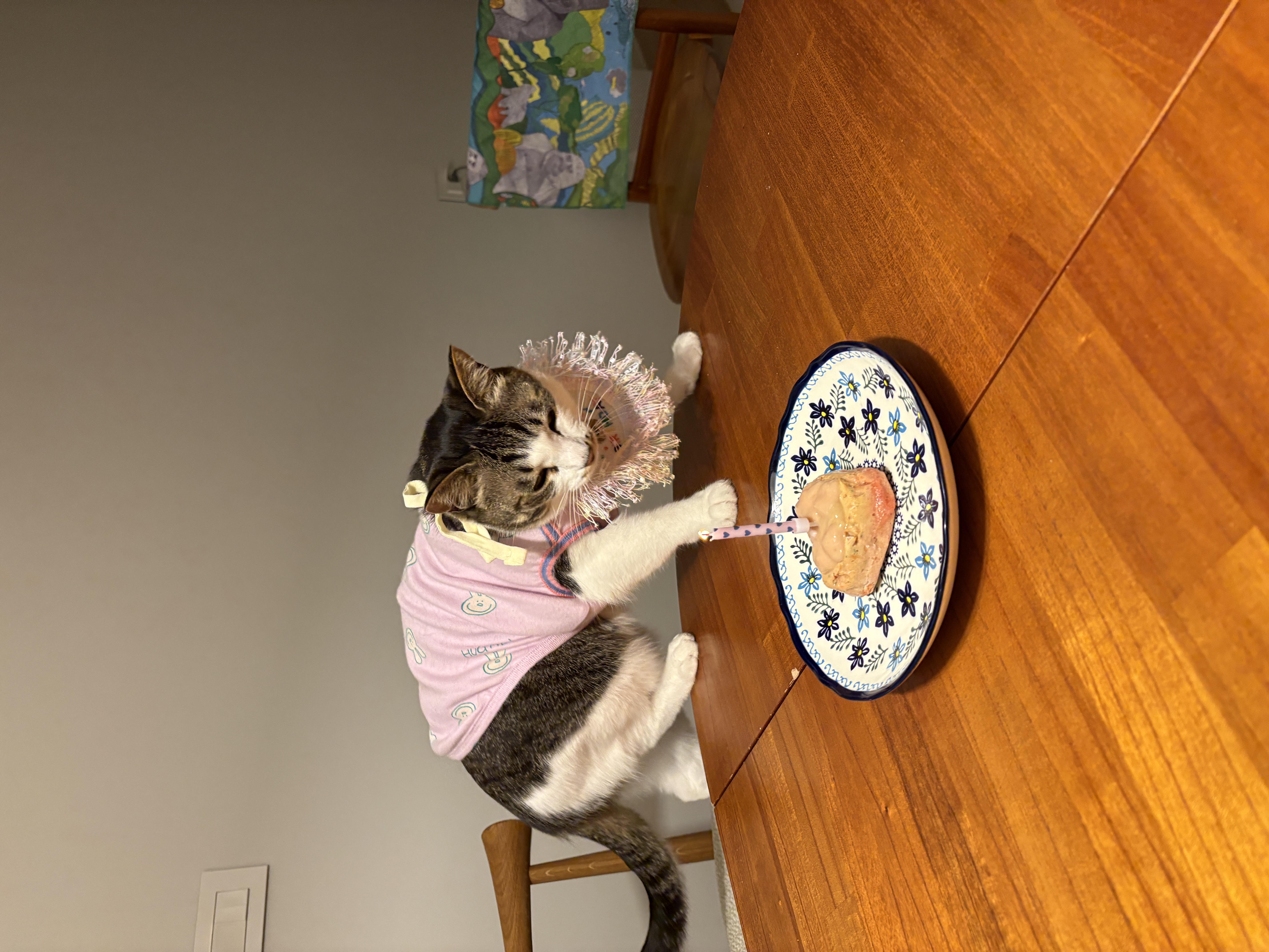 꼬무의 두 번째 생일