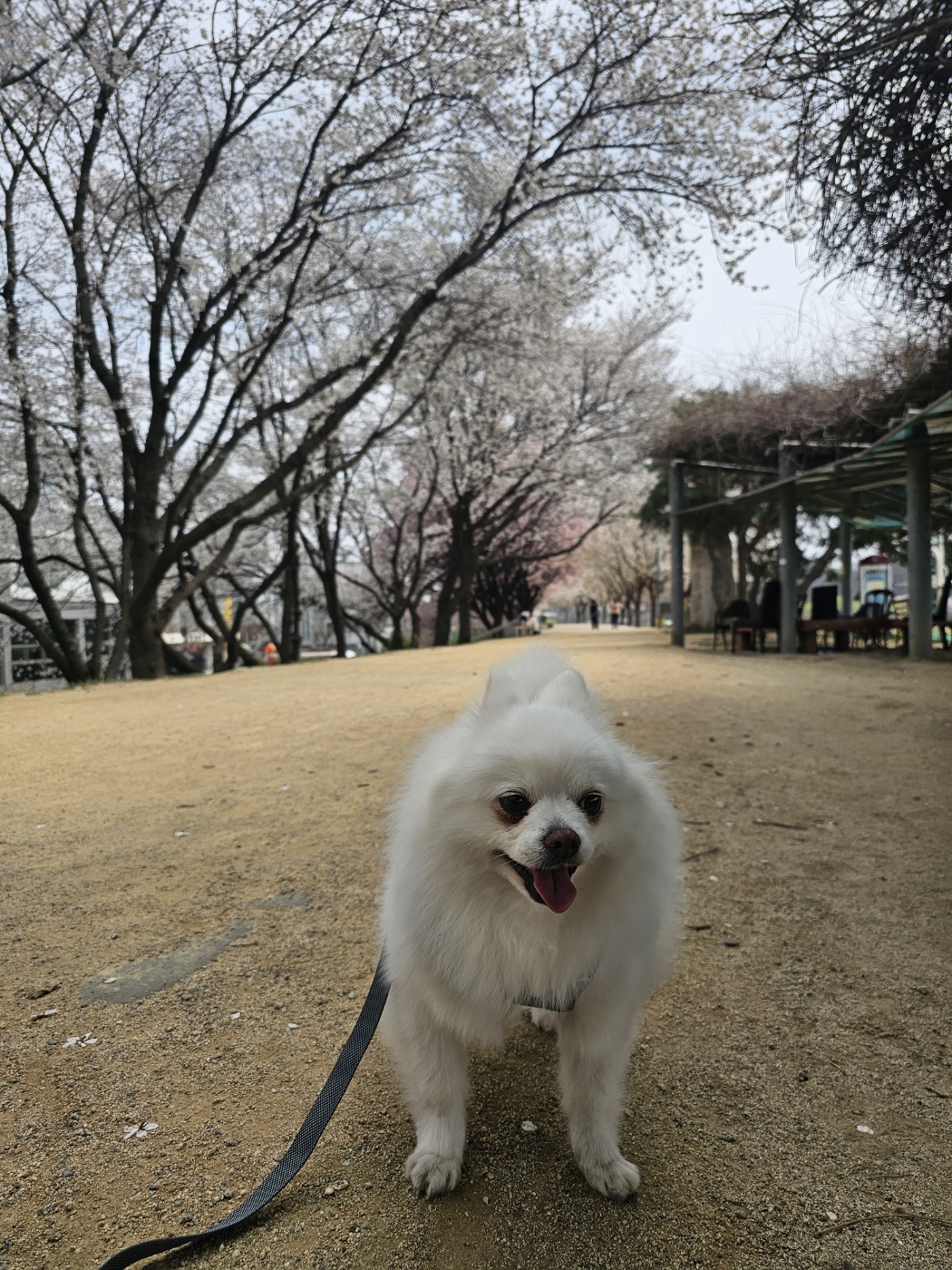 햇살 1년 후기 올립니다