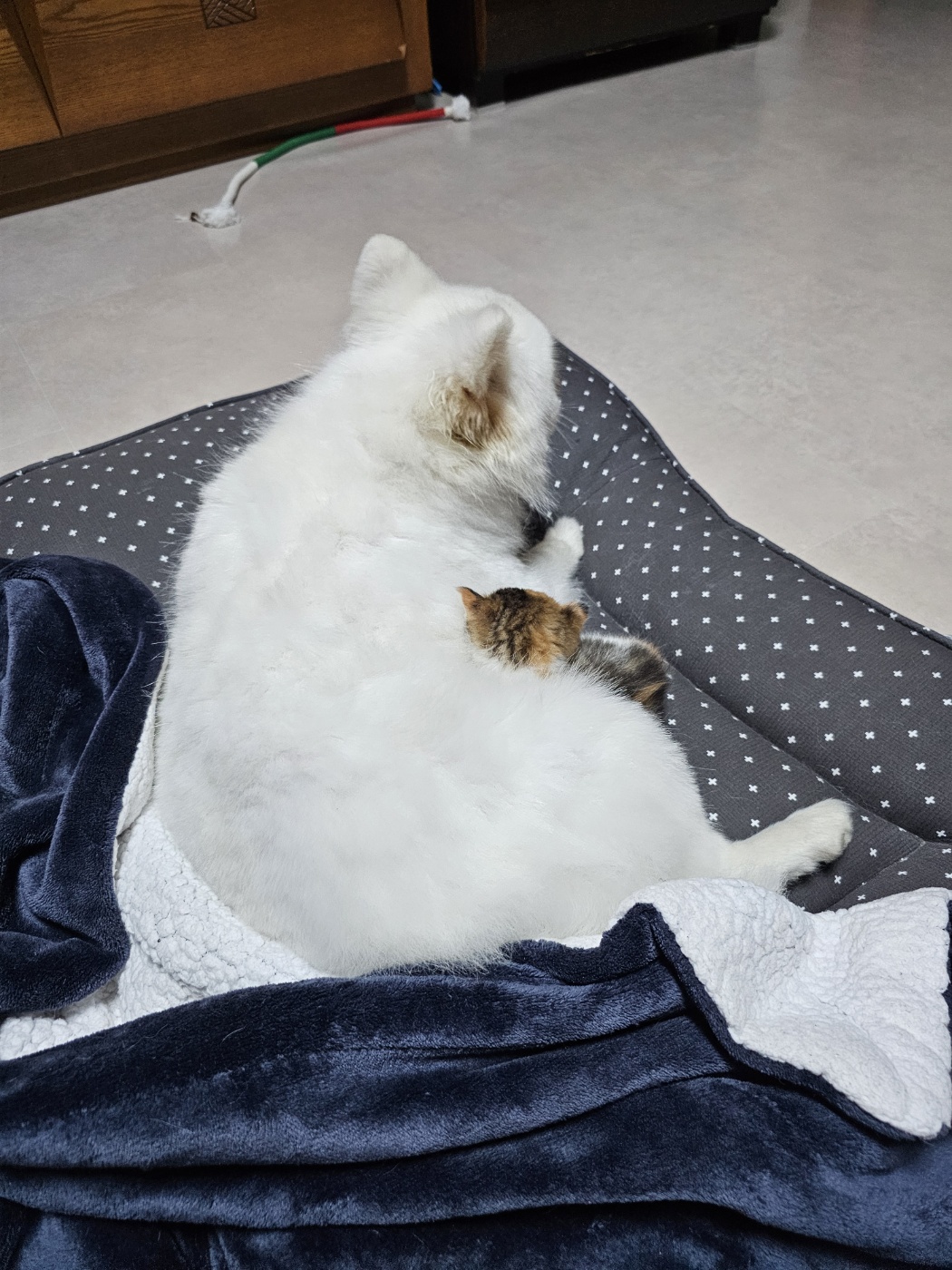 햇살 1년 후기 올립니다