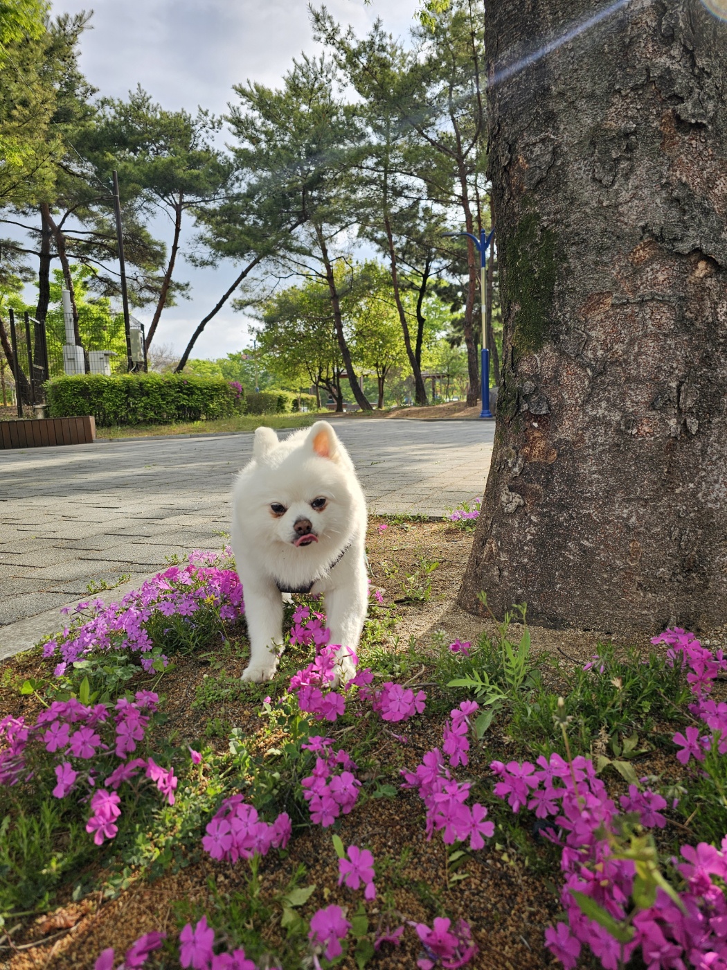 햇살 1년 후기 올립니다