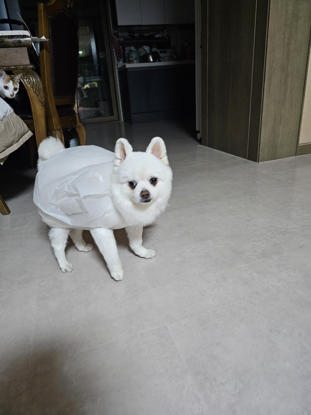 햇살 1년 후기 올립니다