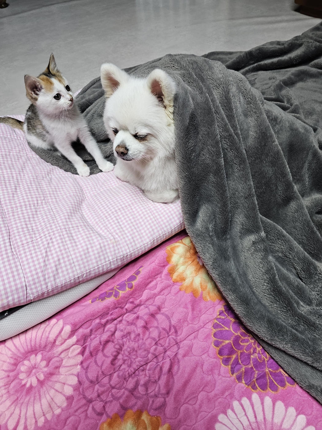 햇살 1년 후기 올립니다