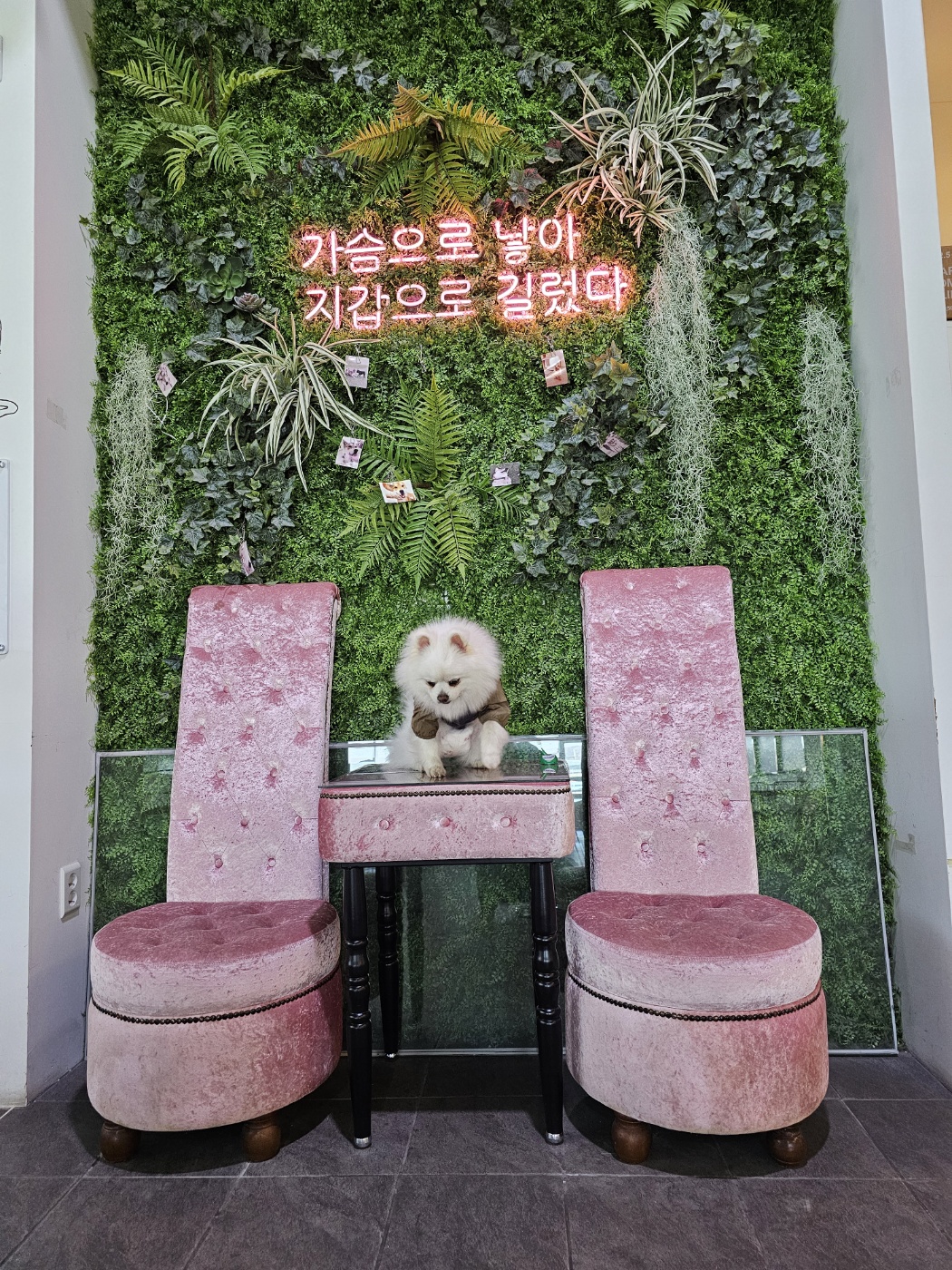 햇살 1년 후기 올립니다