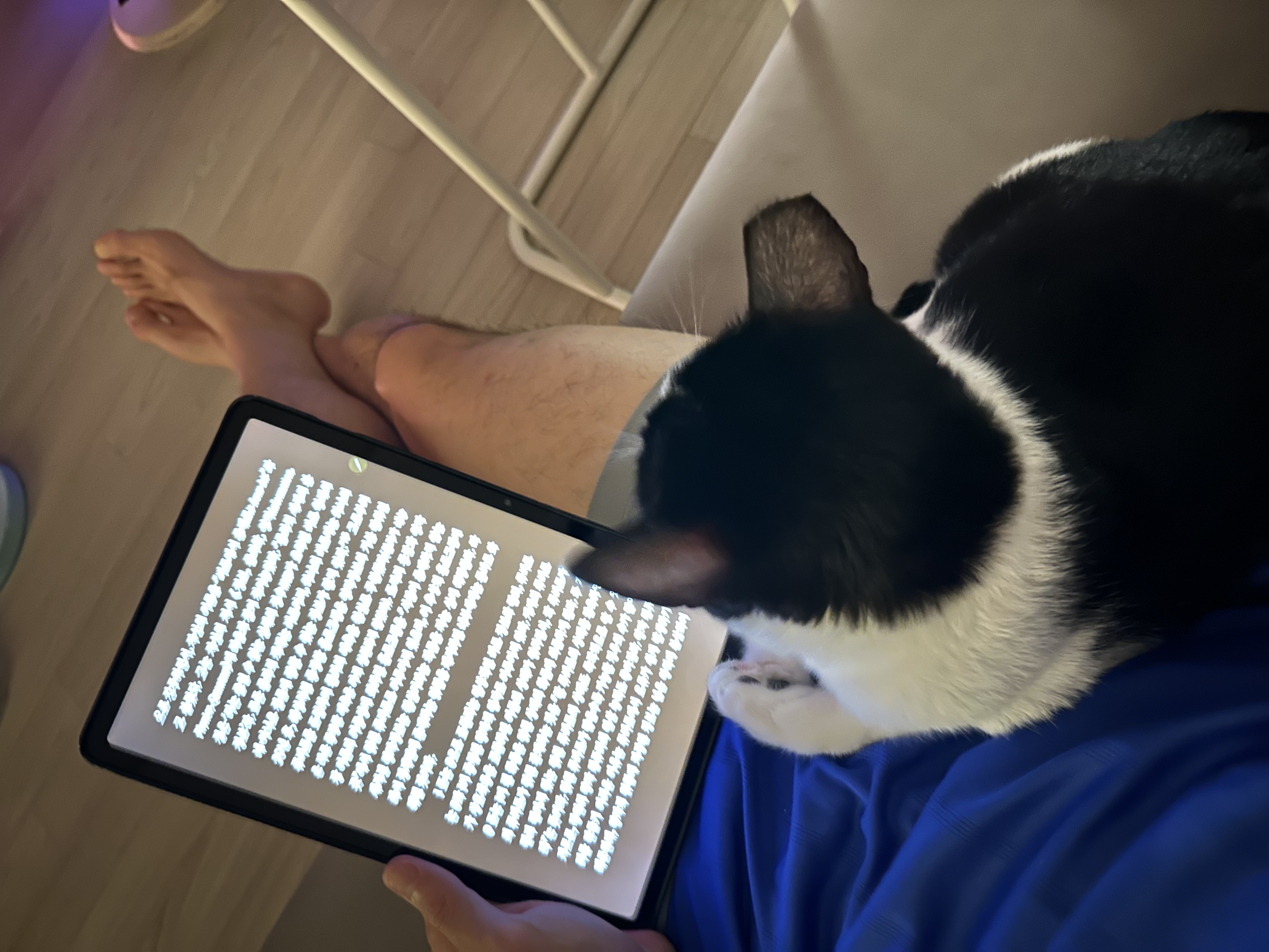 [민트] 입양 1개월차..제가 강아지를 입양했군요