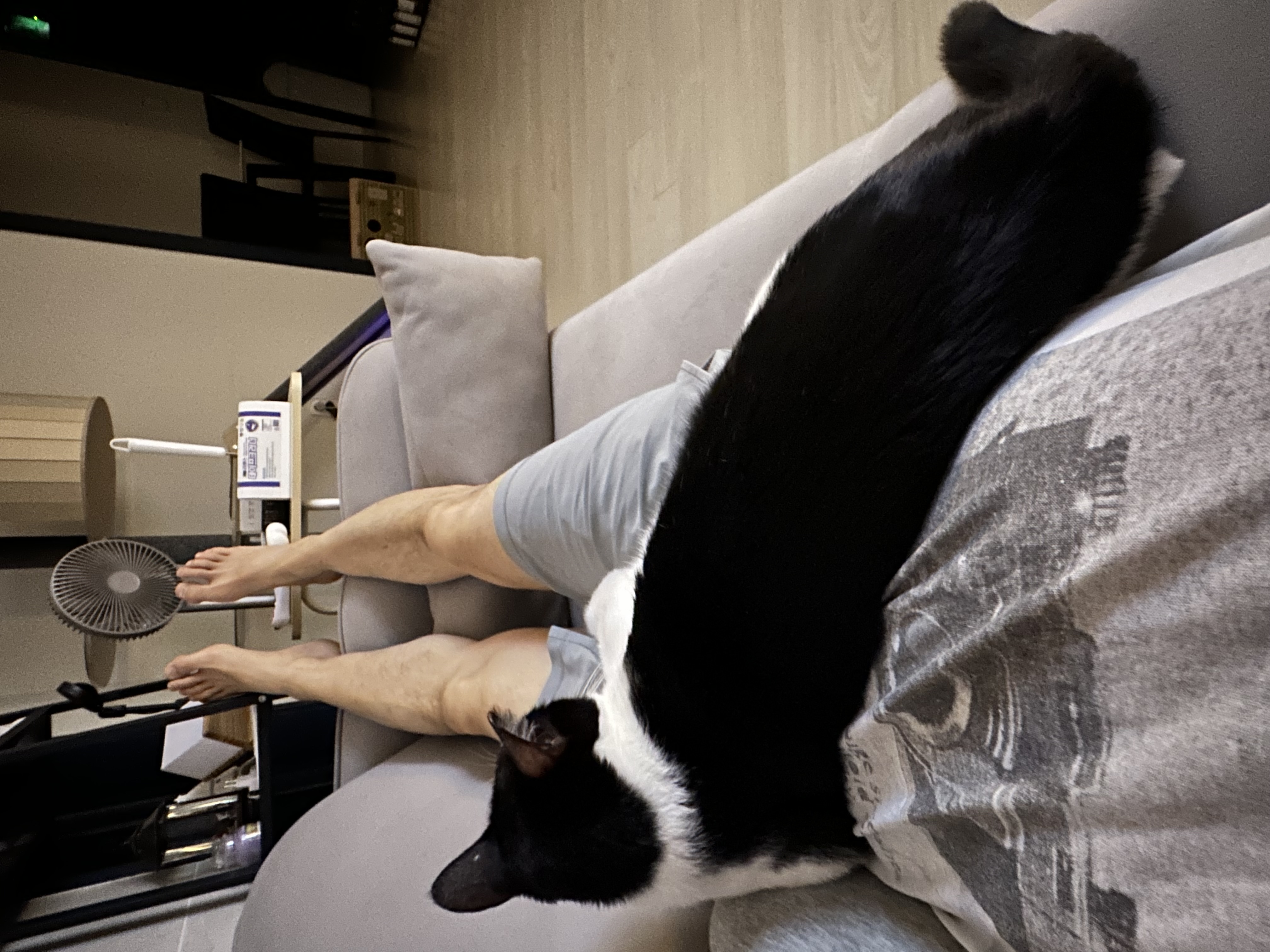 [민트] 입양 1개월차..제가 강아지를 입양했군요