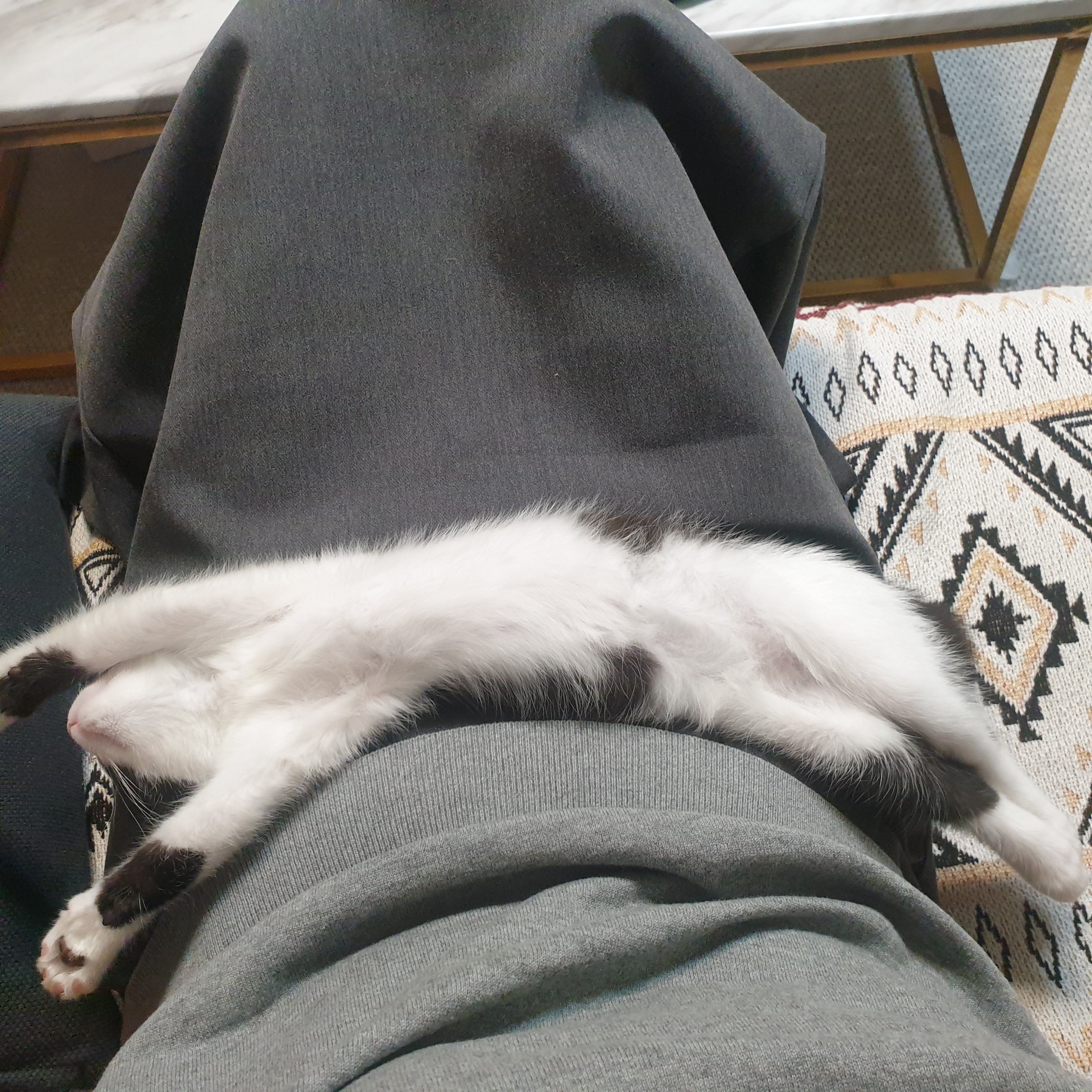 요~다~* 한 달 되었어요. (초록이)