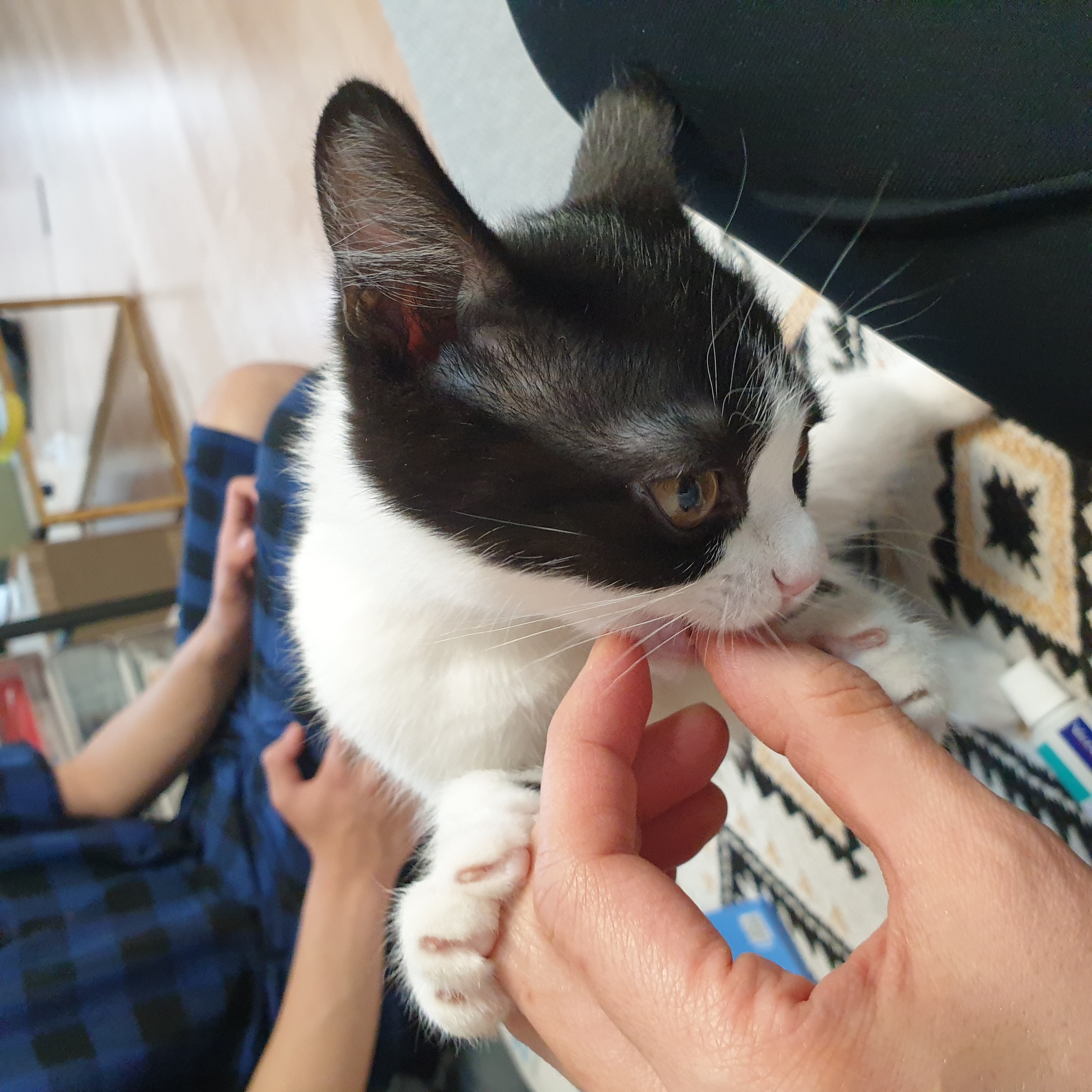 요~다~* 한 달 되었어요. (초록이)