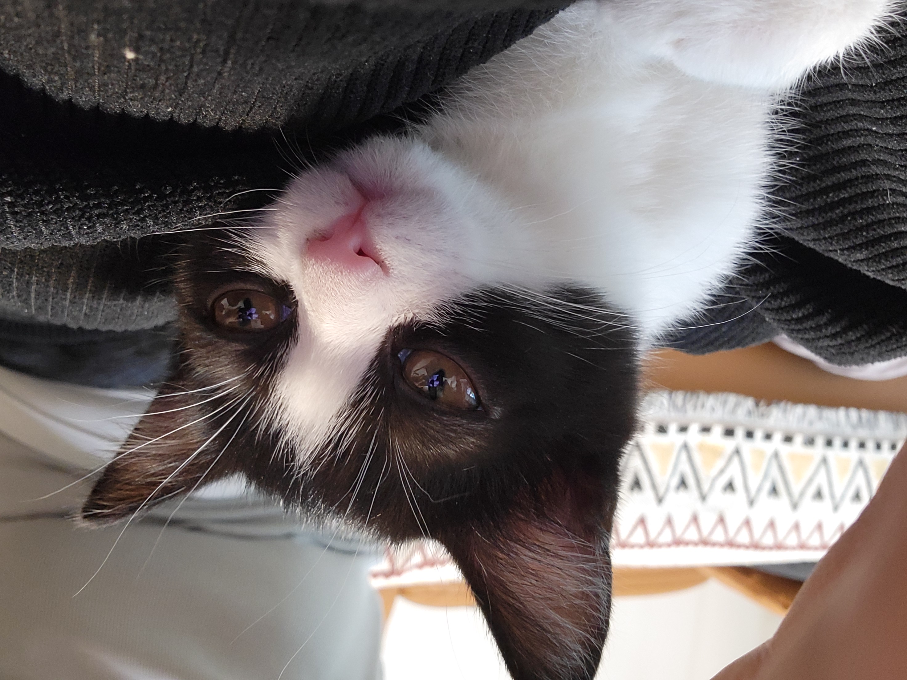 요~다~* 한 달 되었어요. (초록이)