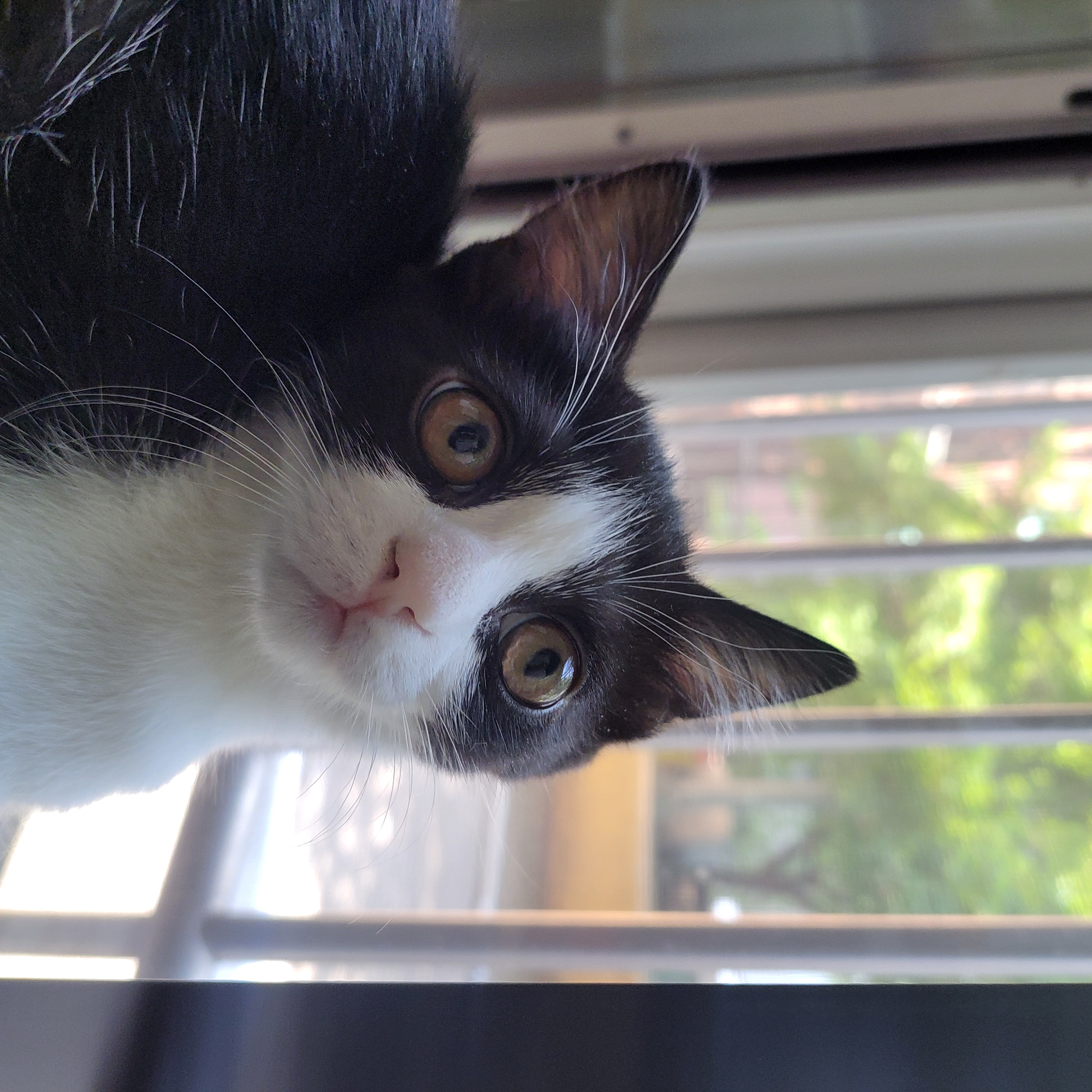 요~다~* 한 달 되었어요. (초록이)