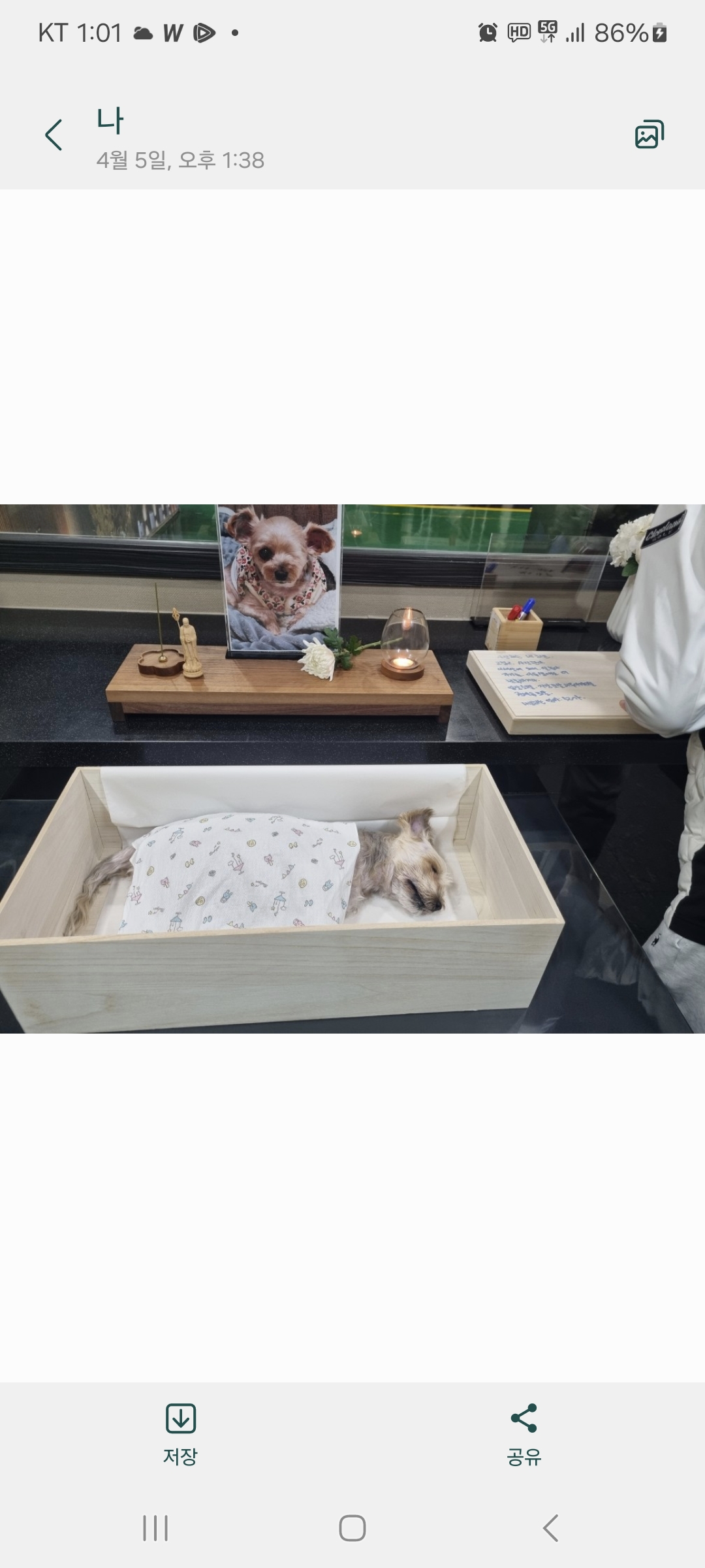 사랑하는 하프의 이야기