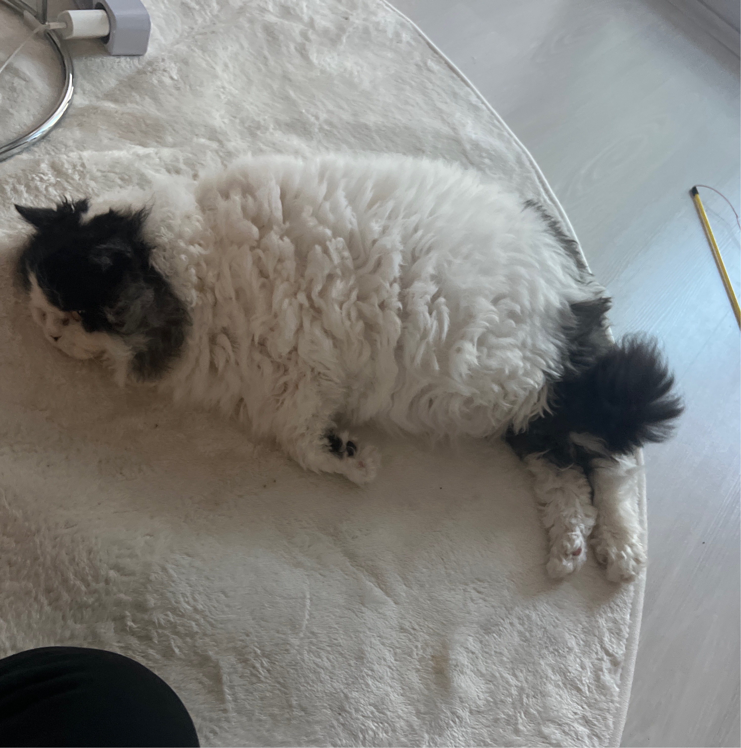 하루의 네번째 하루