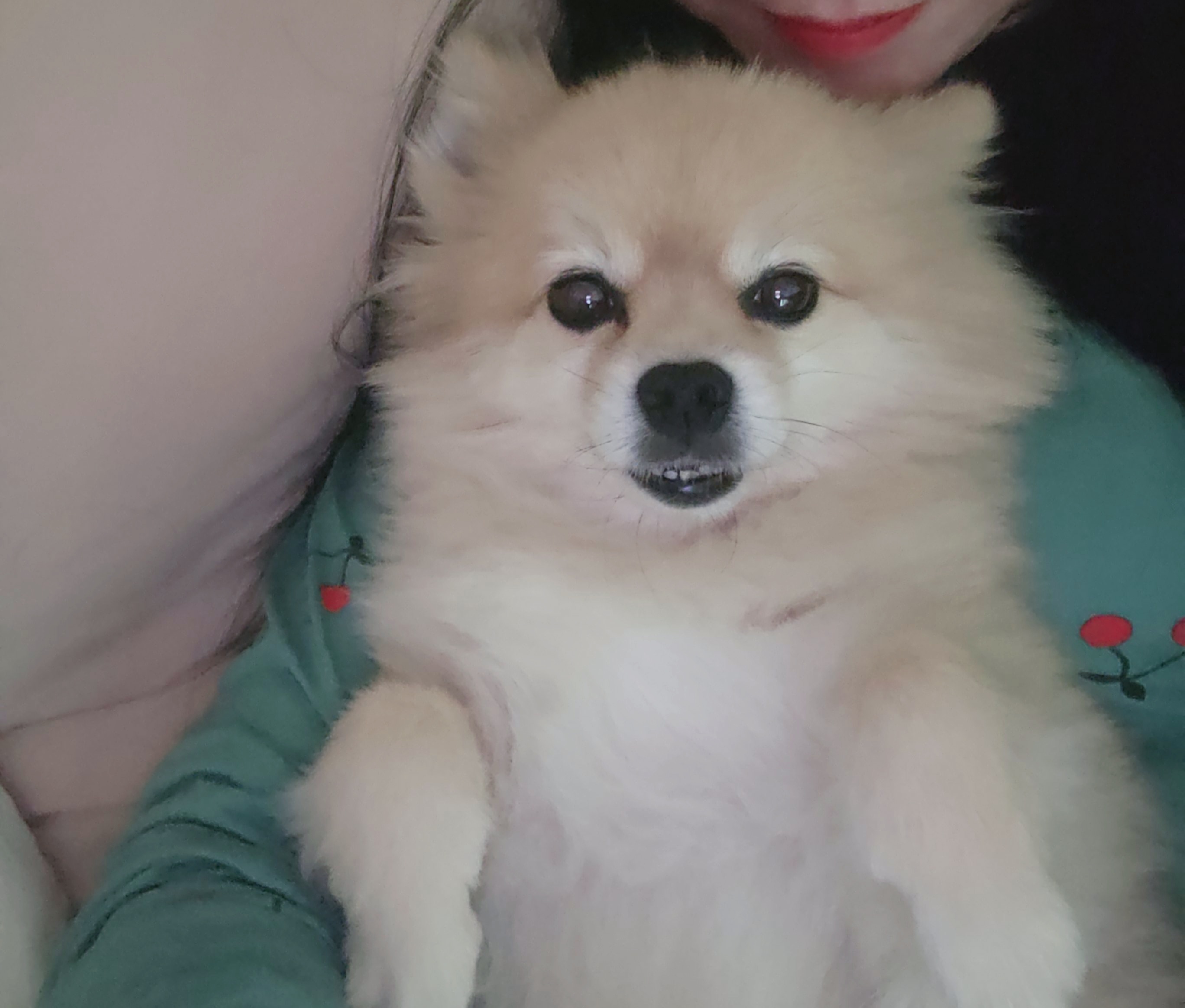달이(온새) 5년차 이야기~♡
