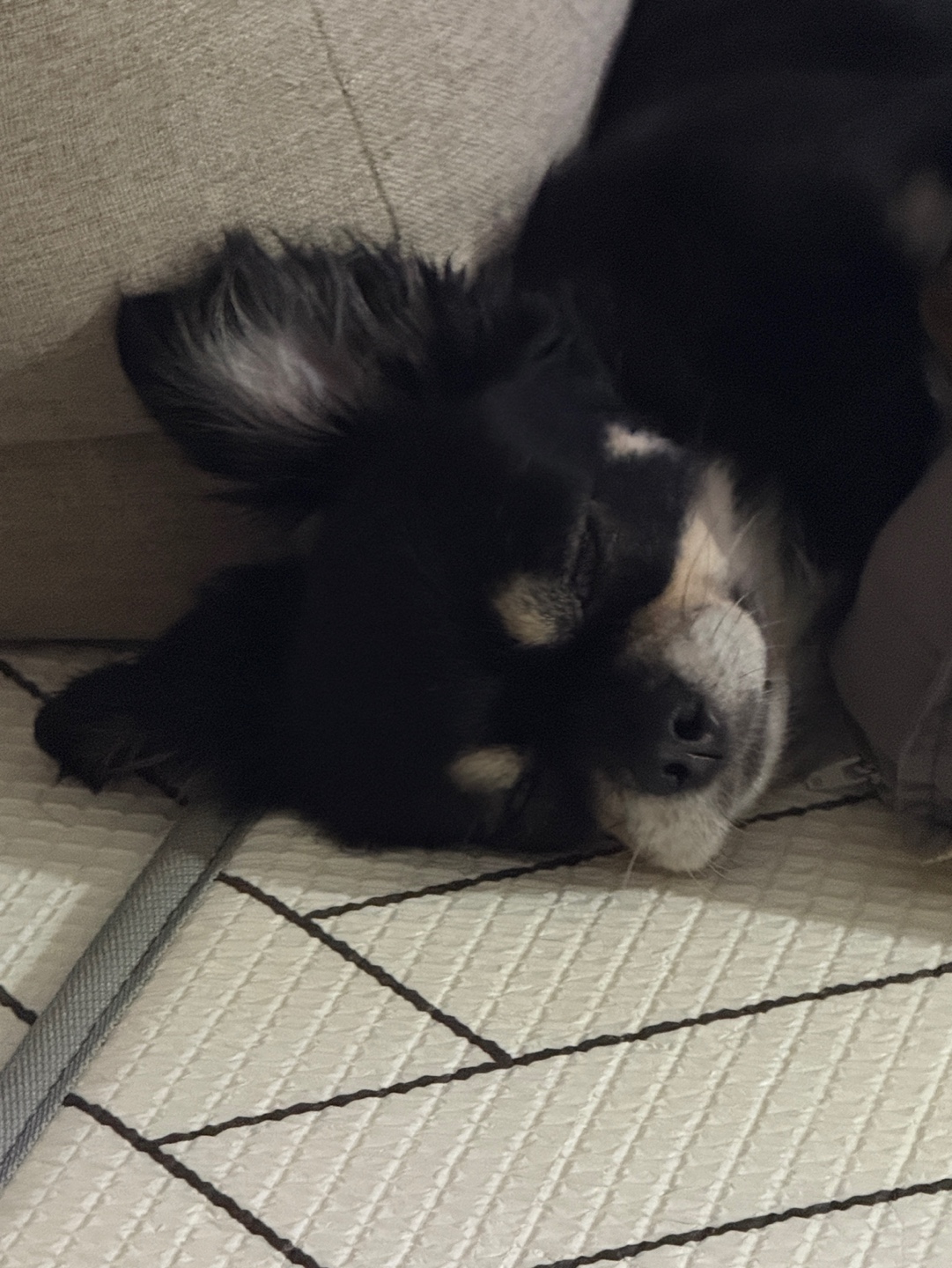 안녕하세요! 깜뭉이네입니다:)