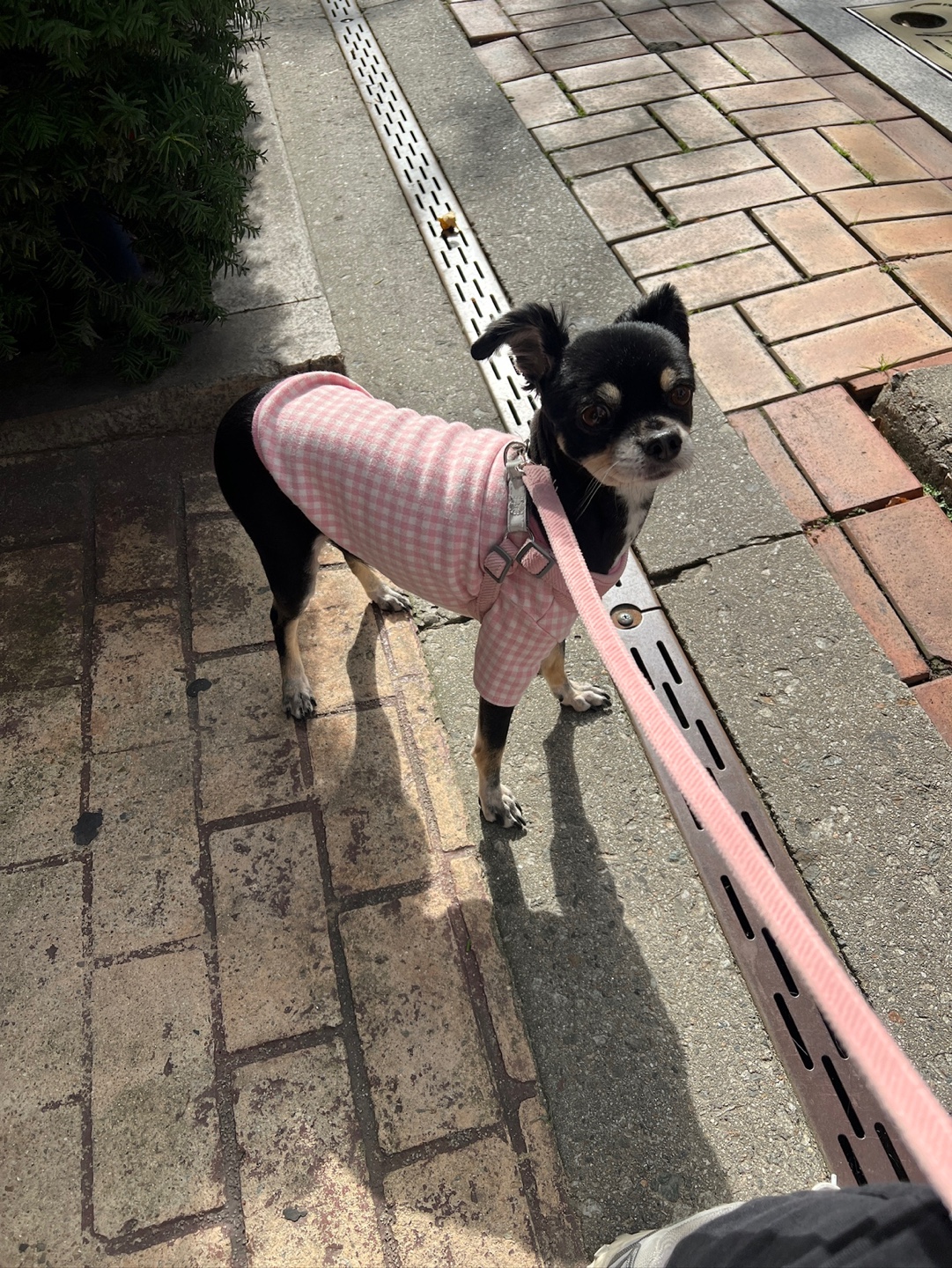 안녕하세요! 깜뭉이네입니다:)